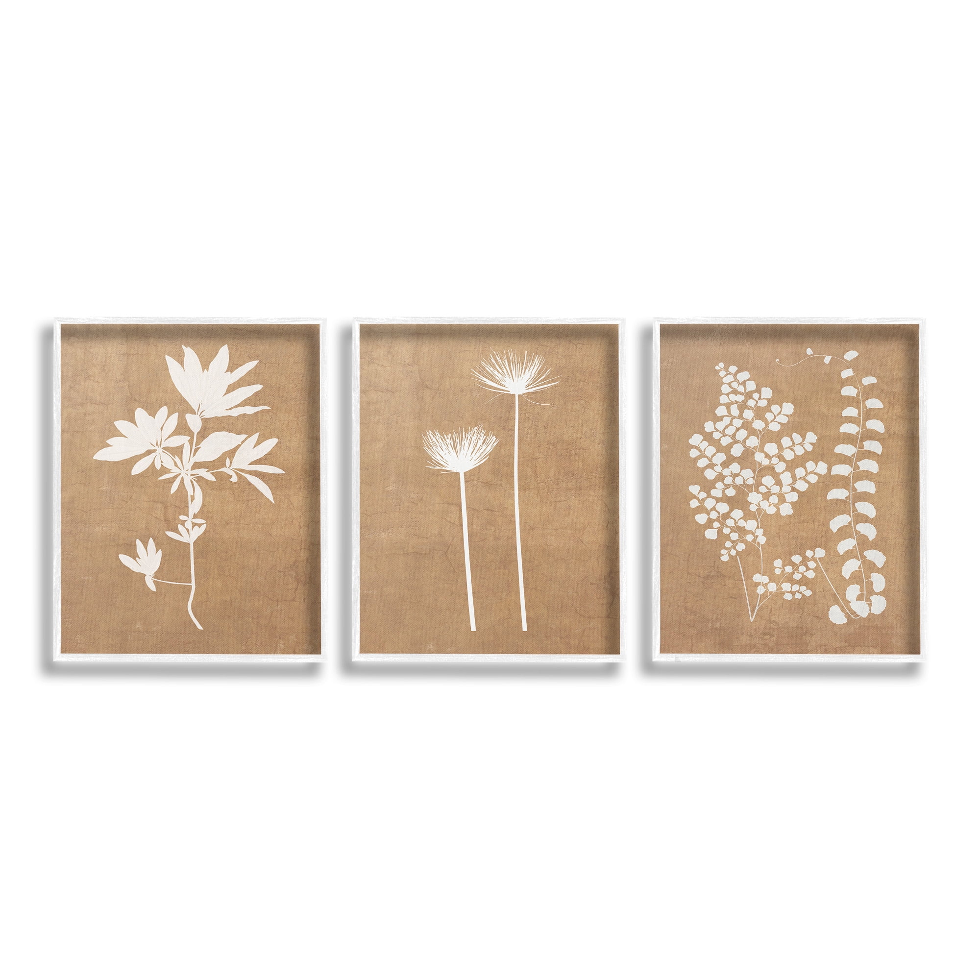 Stupell Industries Nature Botanical Silhouettes Botanical & Floral Painting White Framed Art Print Wall Art, 24 x 30, Set of 3