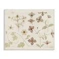thumbnail image 1 of Stupell Industries Nature Botanical Study Canvas Wall Art design by Julie de Graag, 30 x 40, 1 of 7