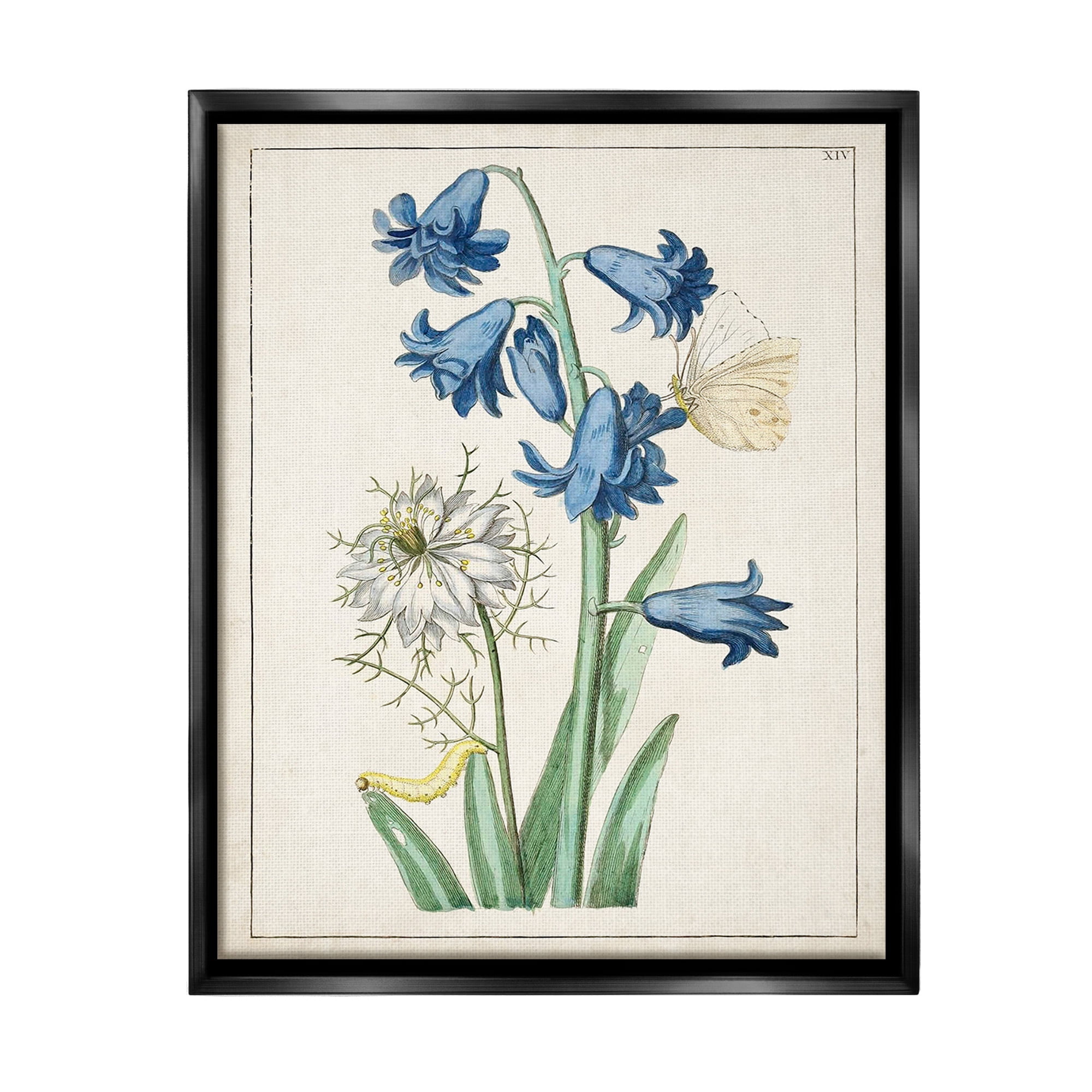 Stupell Industries Nature Bulbs with Moth Botanical & Floral Painting Black Floater Framed Canvas Art Print Wall Art, 17 x 21