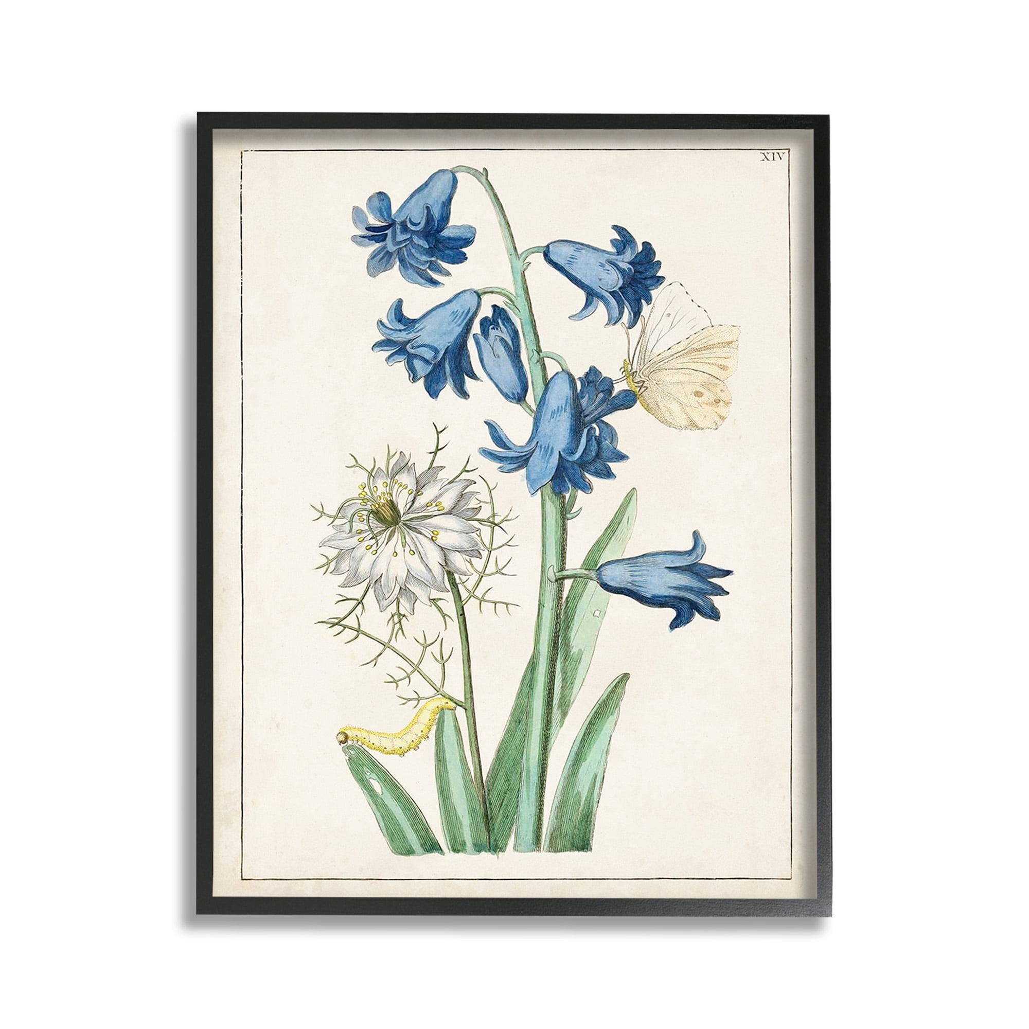 Stupell Industries Nature Bulbs with Moth Botanical & Floral Painting Black Framed Art Print Wall Art, 11 x 14