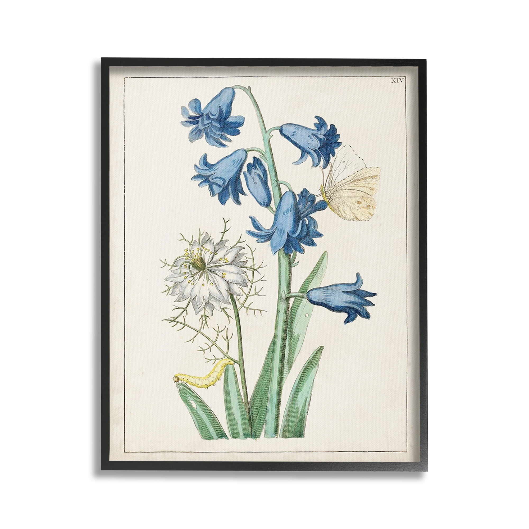 Stupell Industries Nature Bulbs with Moth Botanical & Floral Painting Black Framed Art Print Wall Art, 24 x 30