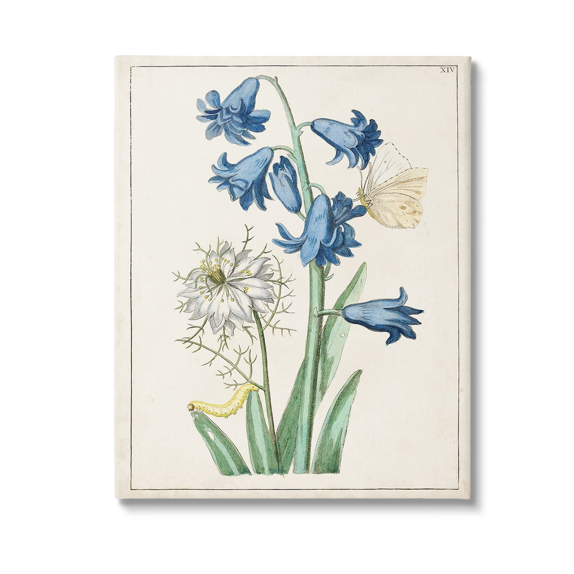 Stupell Industries Nature Bulbs with Moth Botanical & Floral Painting Gallery Wrapped Canvas Art Print Wall Art, 24 x 30