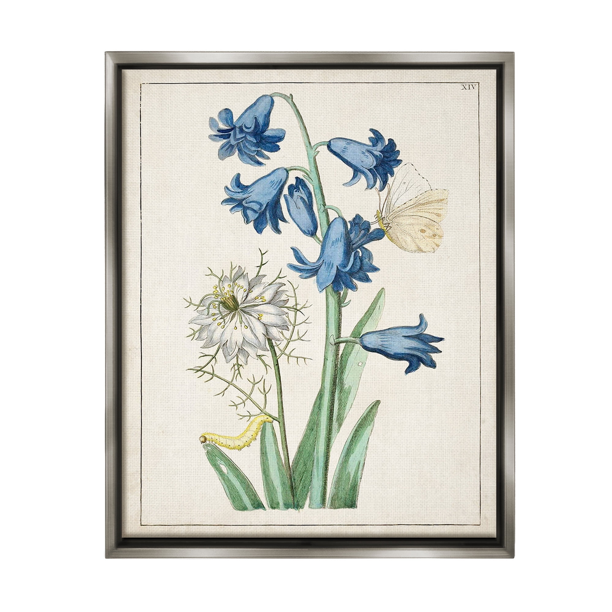Stupell Industries Nature Bulbs with Moth Botanical & Floral Painting Gray Floater Framed Canvas Art Print Wall Art, 17 x 21