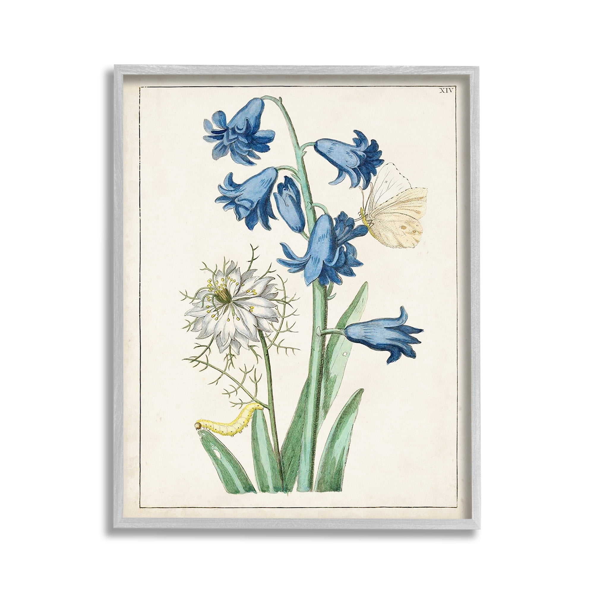 Stupell Industries Nature Bulbs with Moth Botanical & Floral Painting Gray Framed Art Print Wall Art, 11 x 14