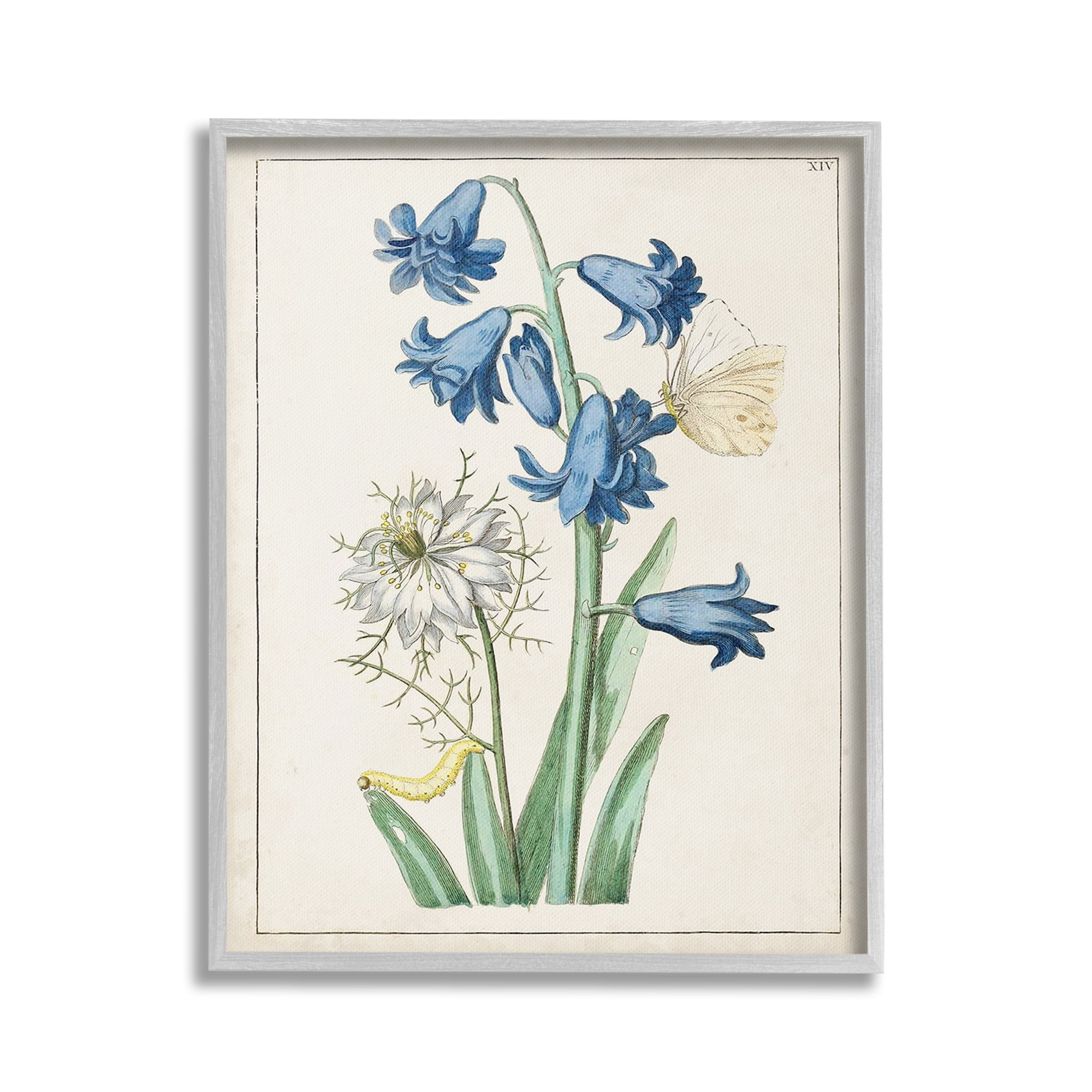 Stupell Industries Nature Bulbs with Moth Botanical & Floral Painting Gray Framed Art Print Wall Art, 16 x 20