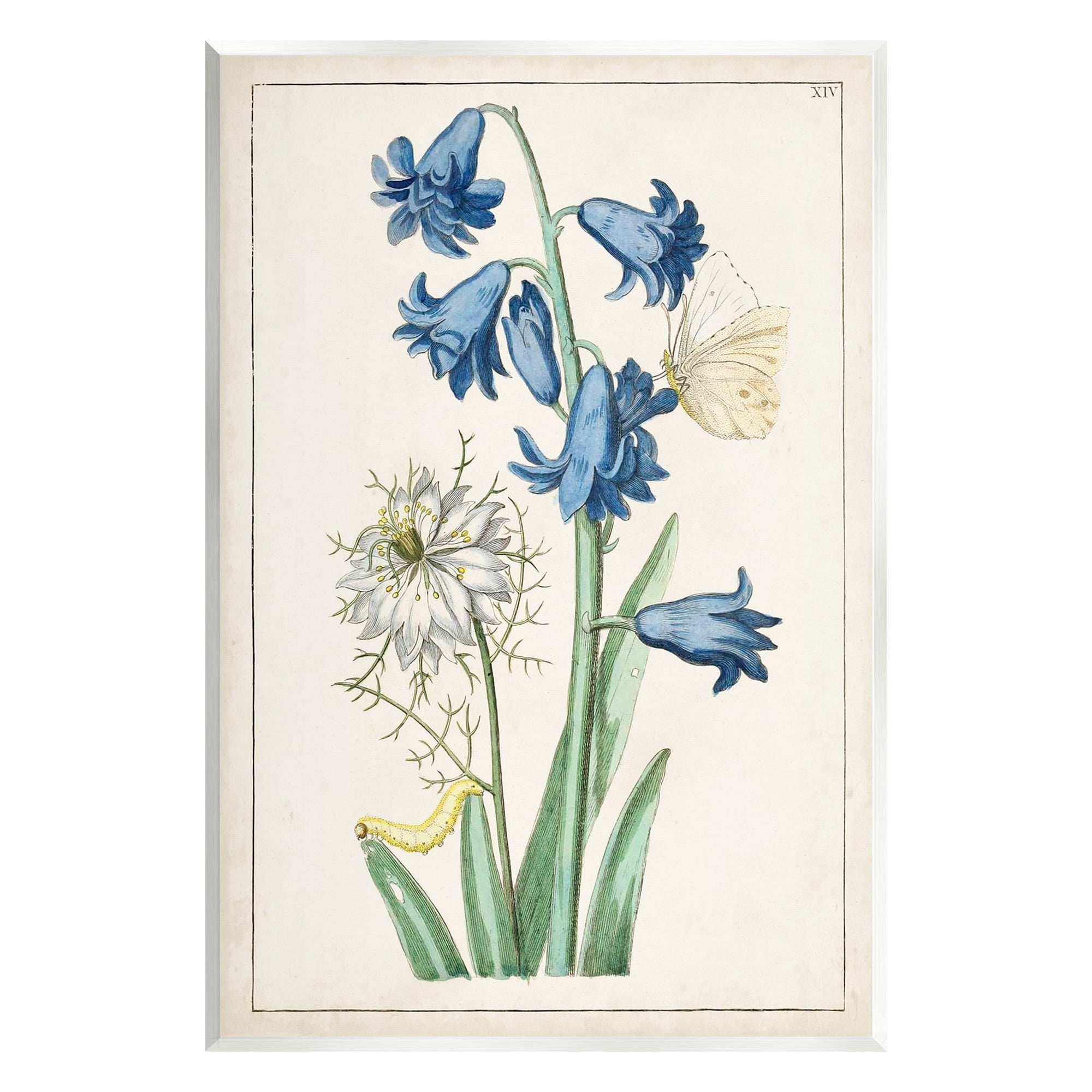 Stupell Industries Nature Bulbs with Moth Botanical & Floral Painting Unframed Art Print Wall Art, 13 x 19