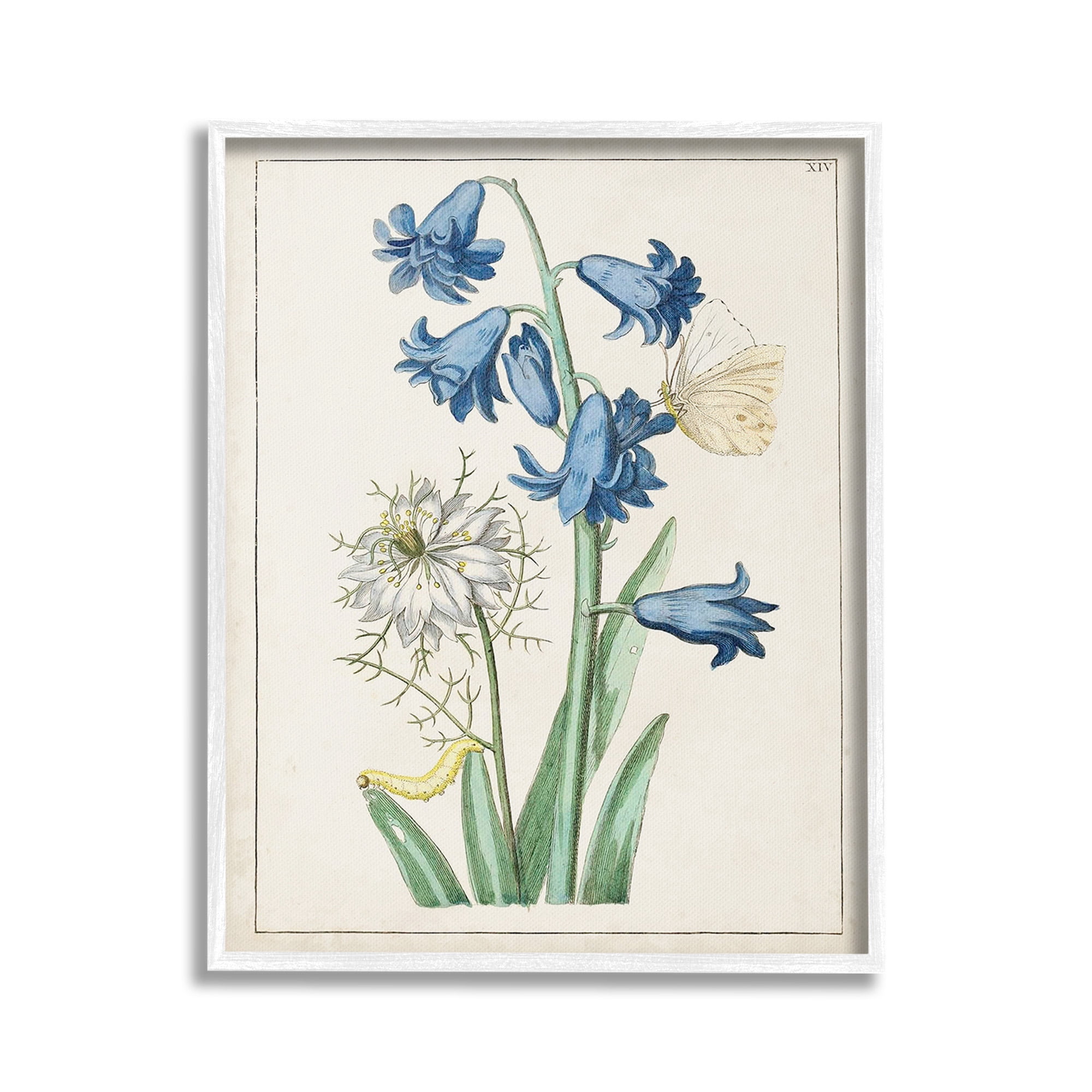 Stupell Industries Nature Bulbs with Moth Botanical & Floral Painting White Framed Art Print Wall Art, 24 x 30