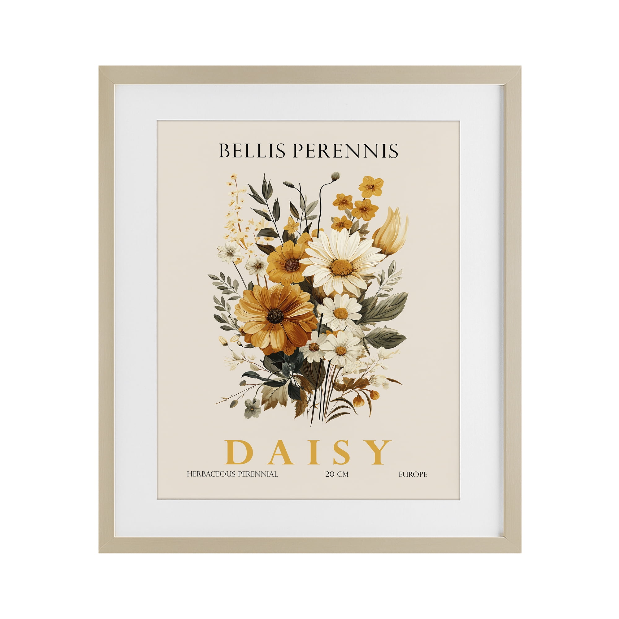 Stupell Industries Nature Daisy Bundle Birch Framed Print Under Glass, design by Christopher Giampietro