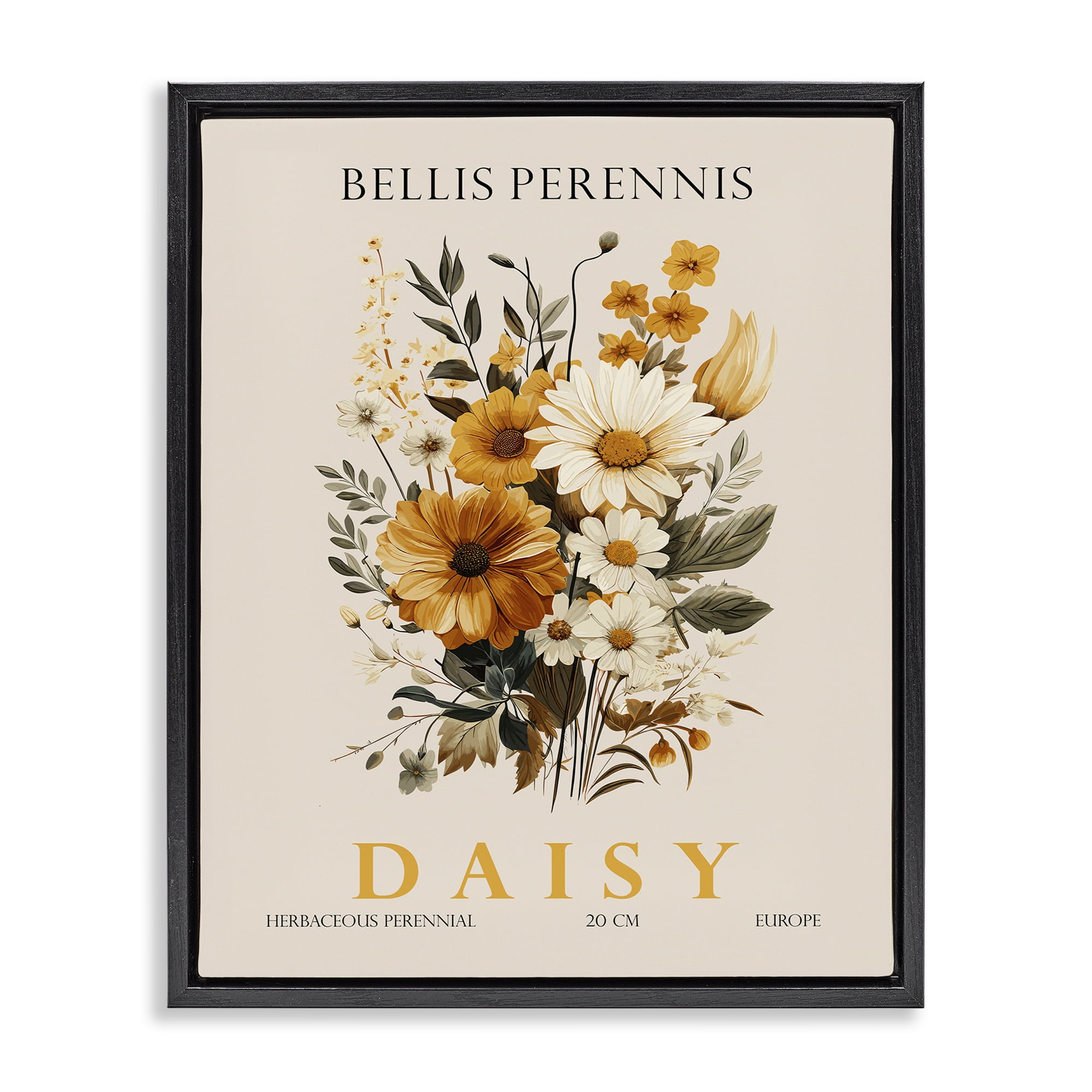 Stupell Industries Nature Daisy Bundle Black Framed Floater Canvas Wall Art, design by Christopher Giampietro