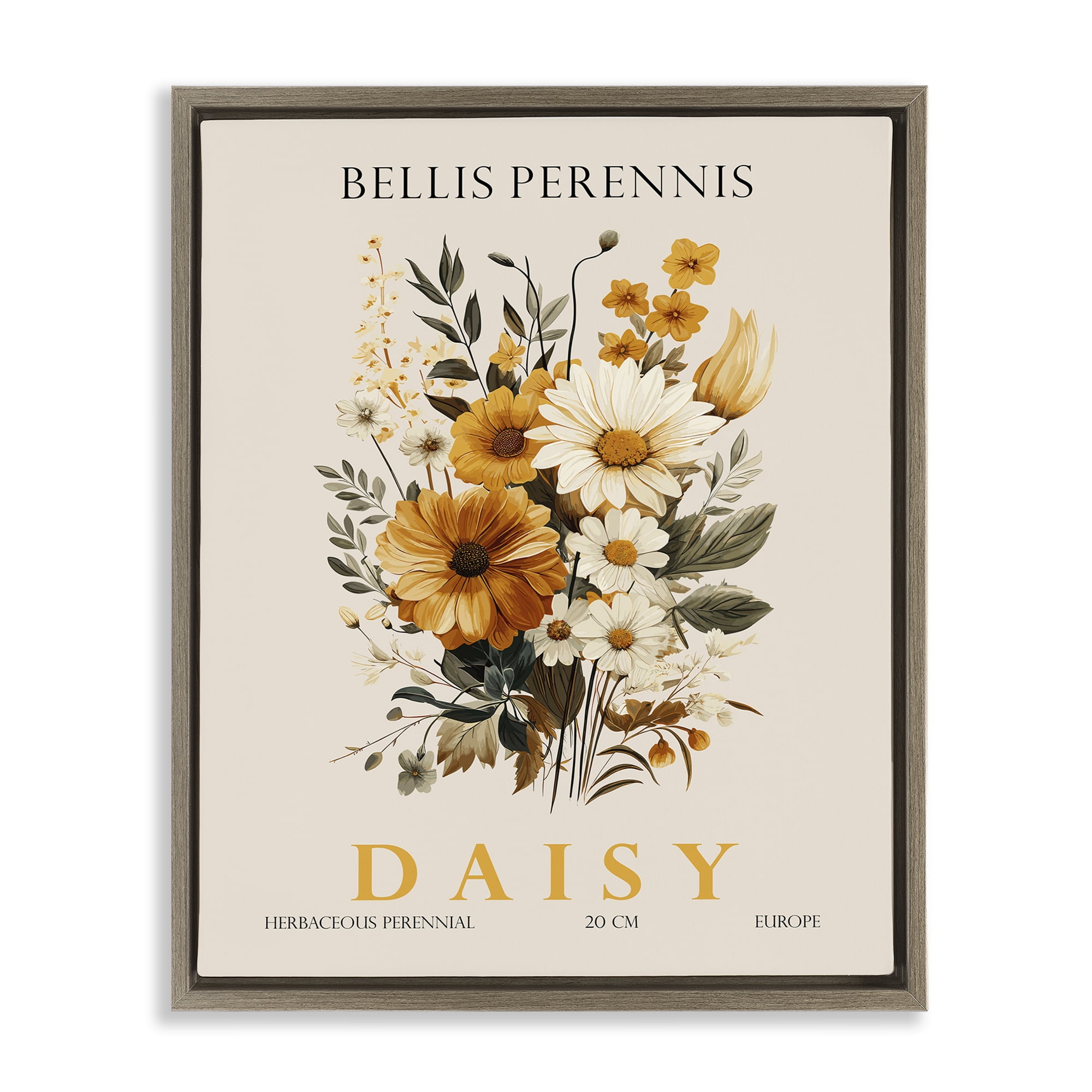 Stupell Industries Nature Daisy Bundle Brown Framed Floater Canvas Wall Art, design by Christopher Giampietro