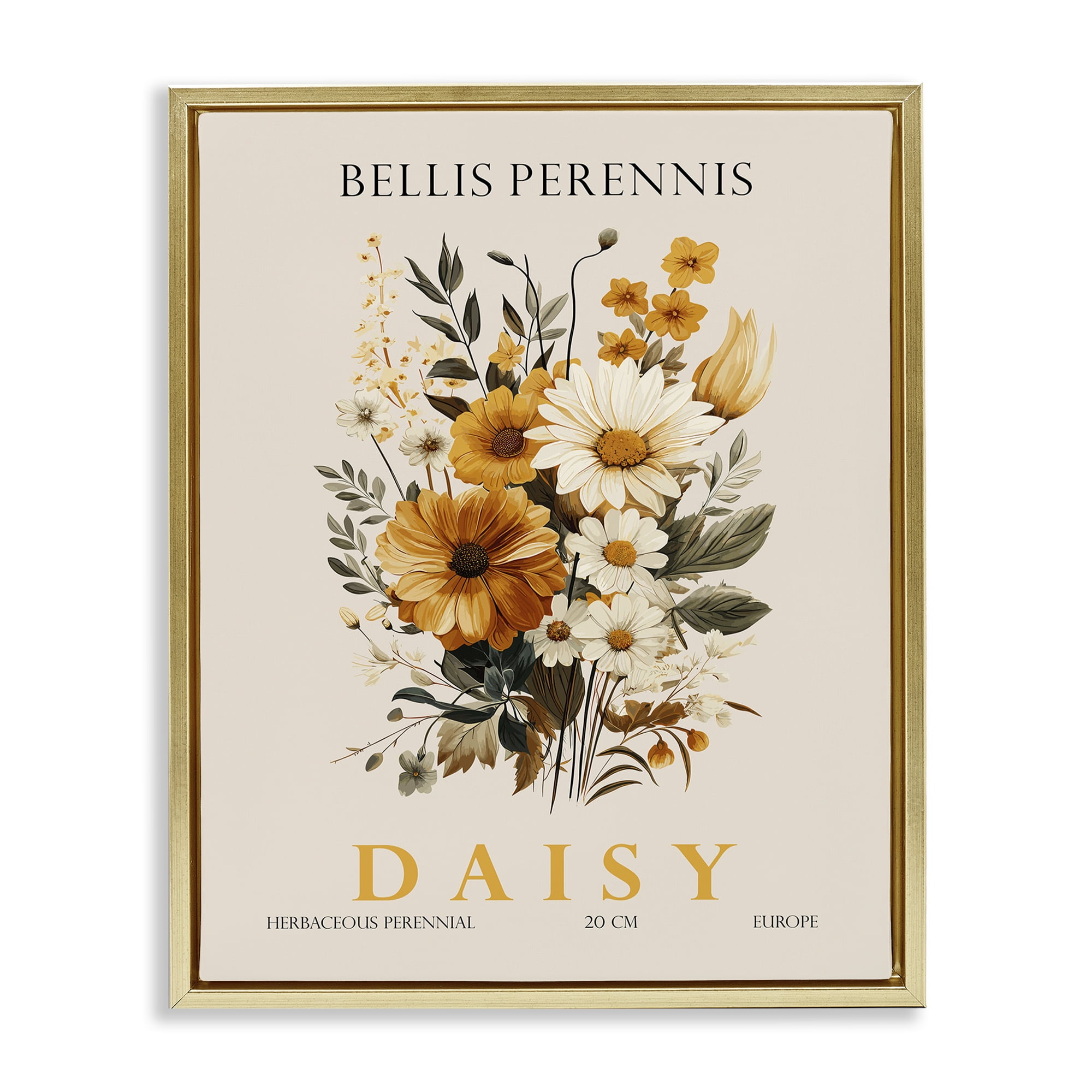 Stupell Industries Nature Daisy Bundle Gold Framed Floater Canvas Wall Art, design by Christopher Giampietro