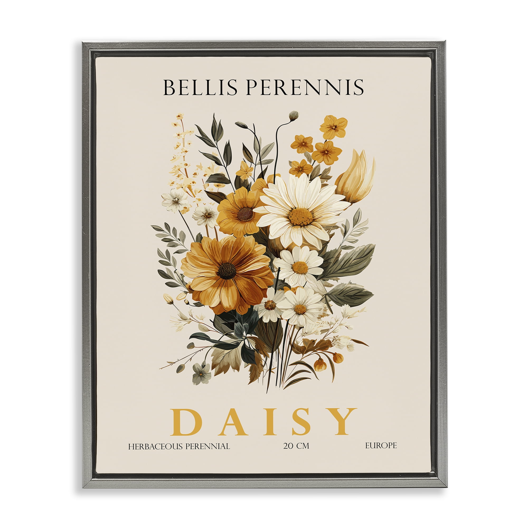 Stupell Industries Nature Daisy Bundle Gray Framed Floater Canvas Wall Art, design by Christopher Giampietro