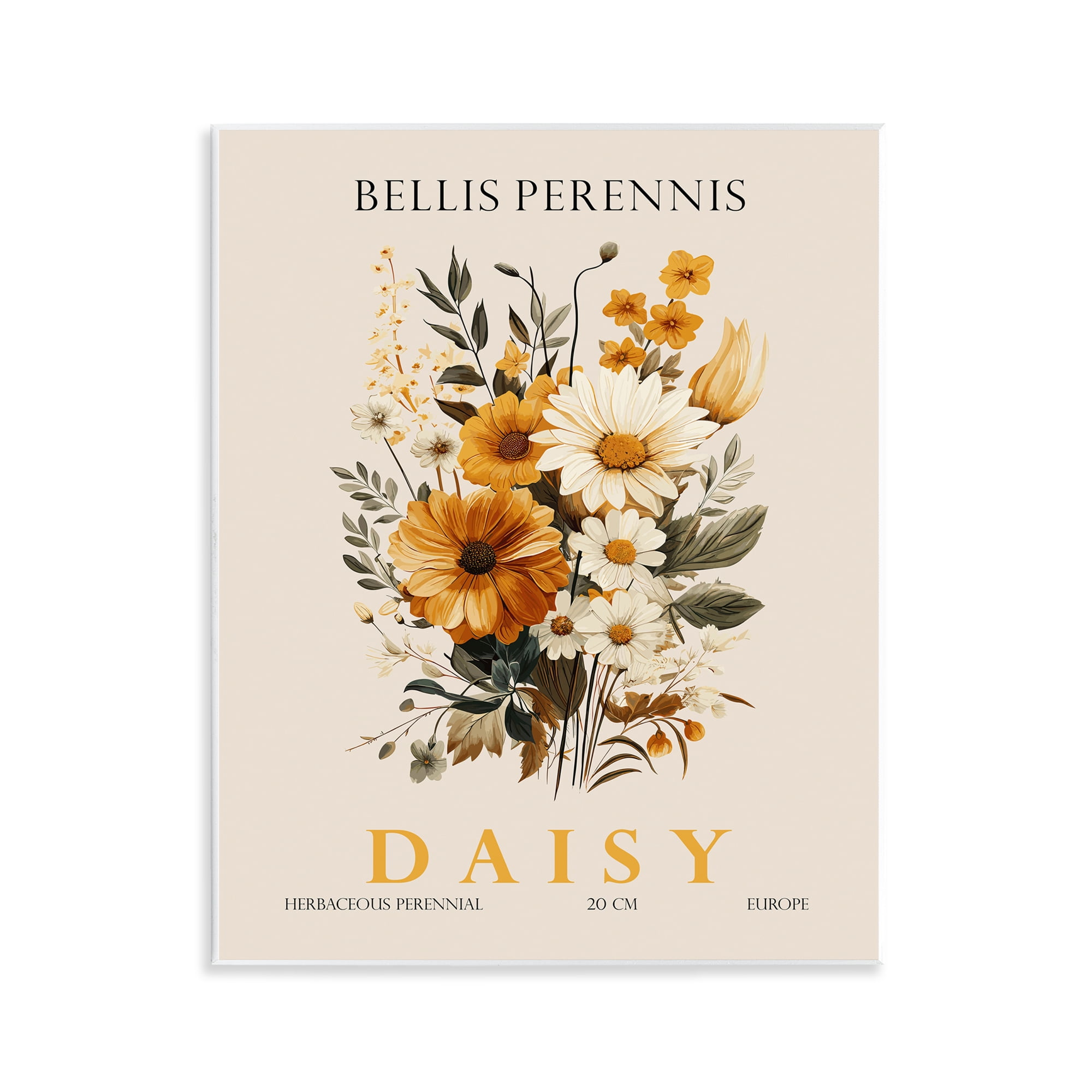 Stupell Industries Nature Daisy Bundle Wall Plaque Art, design by Christopher Giampietro