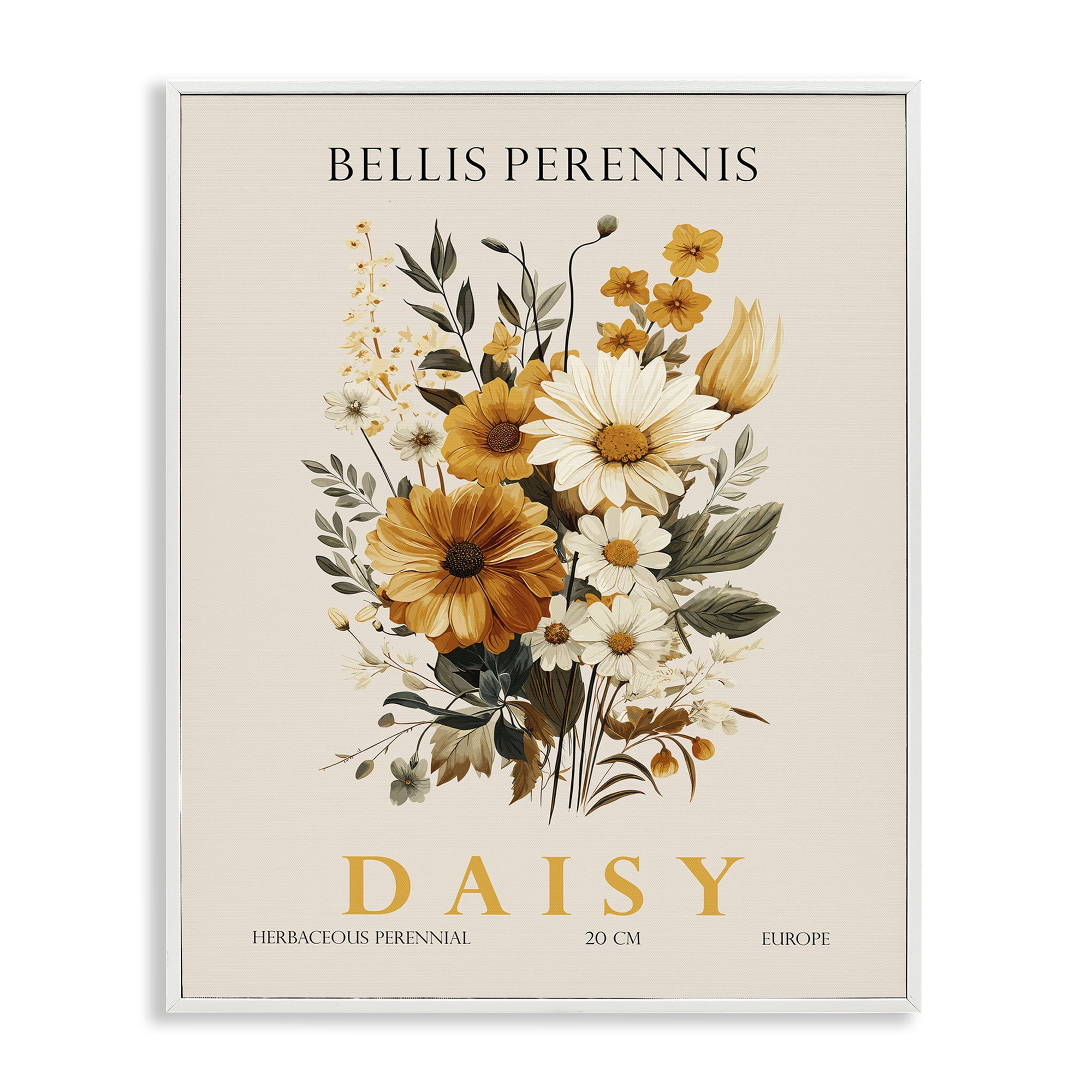Stupell Industries Nature Daisy Bundle White Framed Giclee Art, design by Christopher Giampietro