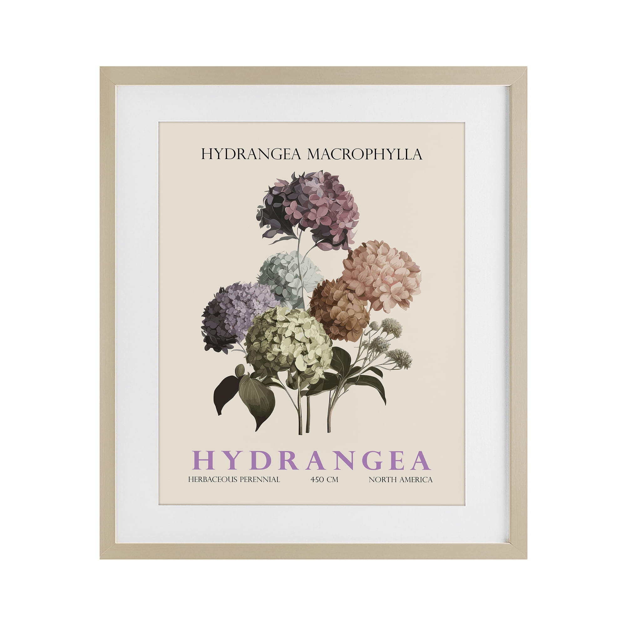 Stupell Industries Nature Hydrangea Bundle Birch Framed Print Under Glass, design by Christopher Giampietro