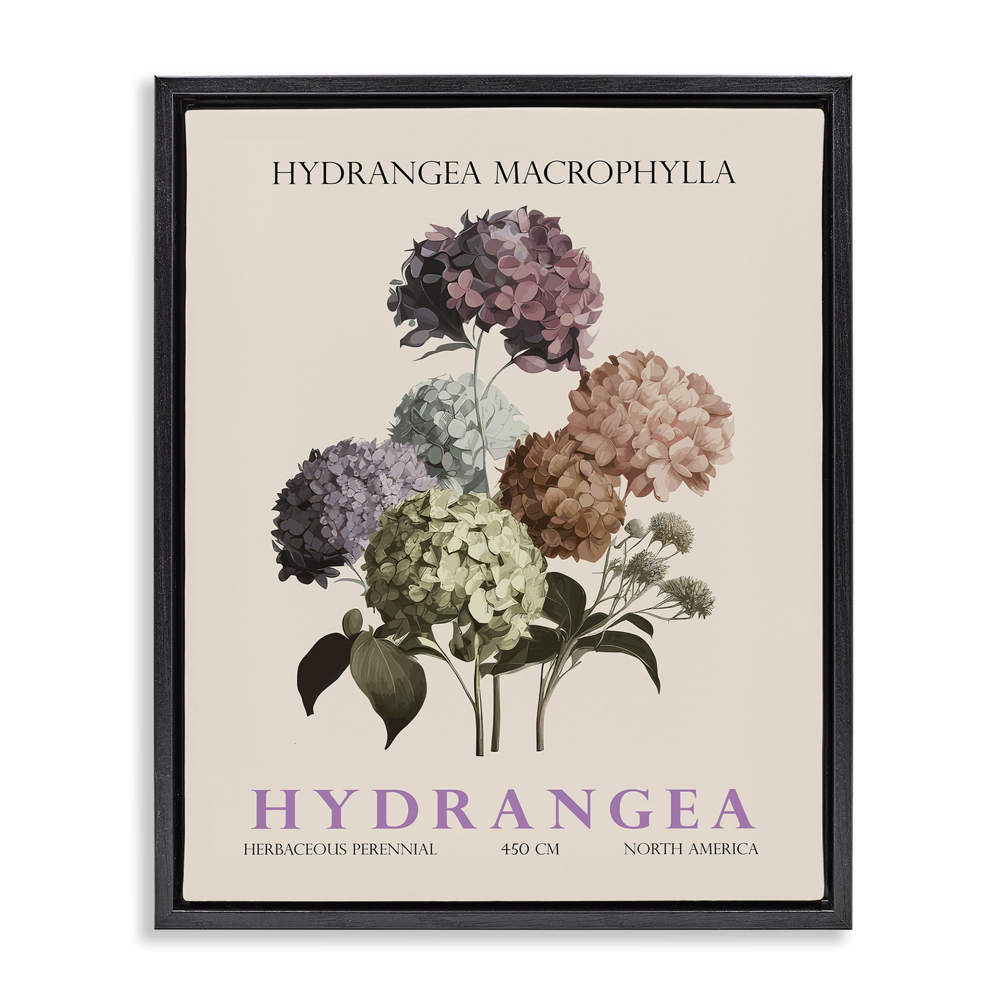 Stupell Industries Nature Hydrangea Bundle Black Framed Floater Canvas Wall Art, design by Christopher Giampietro
