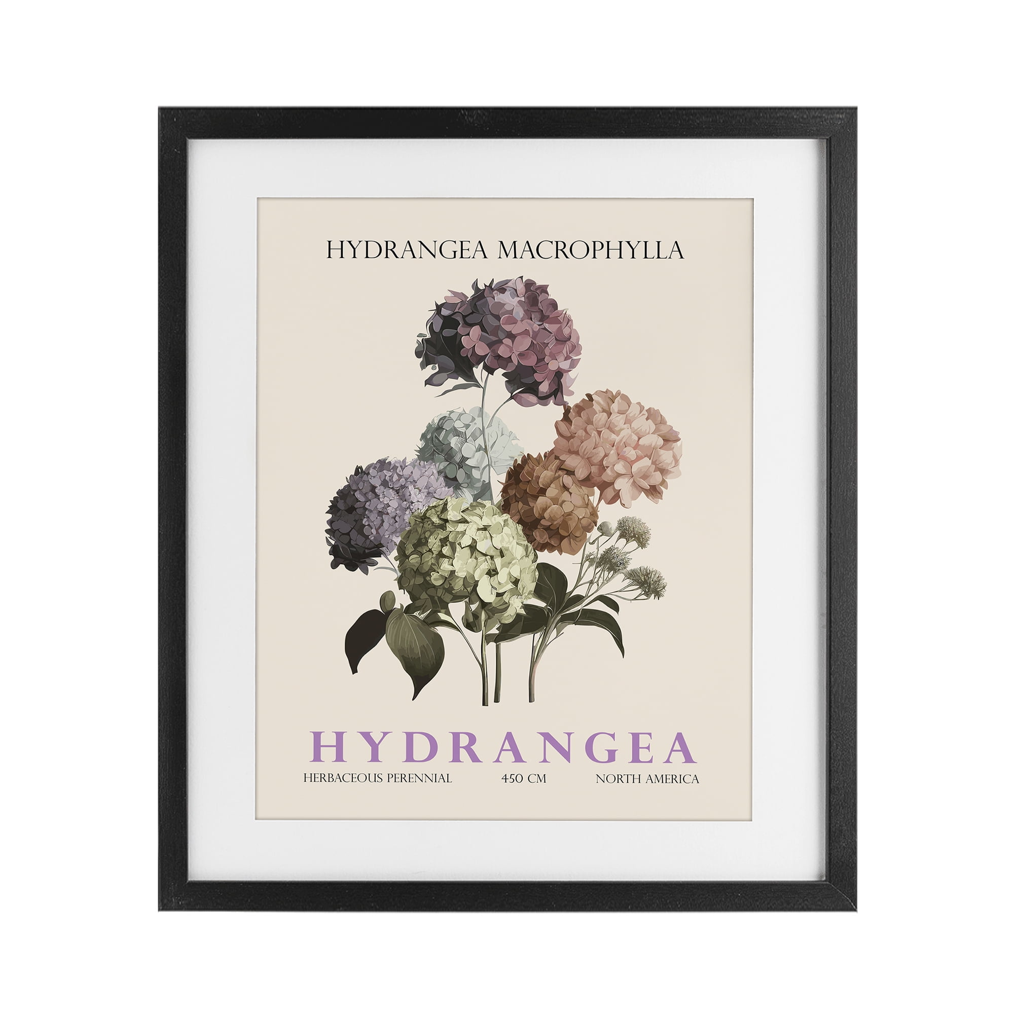 Stupell Industries Nature Hydrangea Bundle Black Framed Print Under Glass, design by Christopher Giampietro