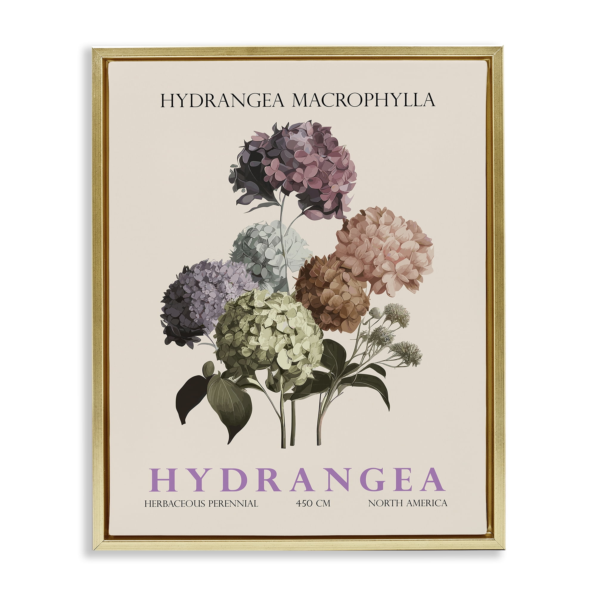 Stupell Industries Nature Hydrangea Bundle Gold Framed Floater Canvas Wall Art, design by Christopher Giampietro