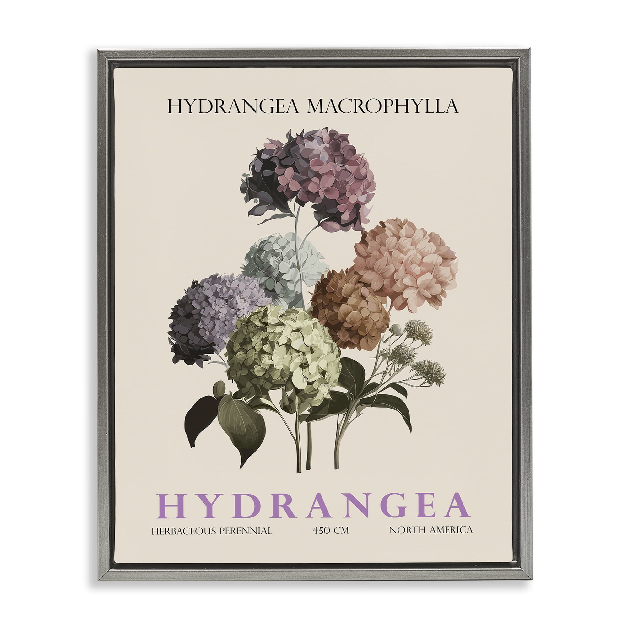 Stupell Industries Nature Hydrangea Bundle Gray Framed Floater Canvas Wall Art, design by Christopher Giampietro