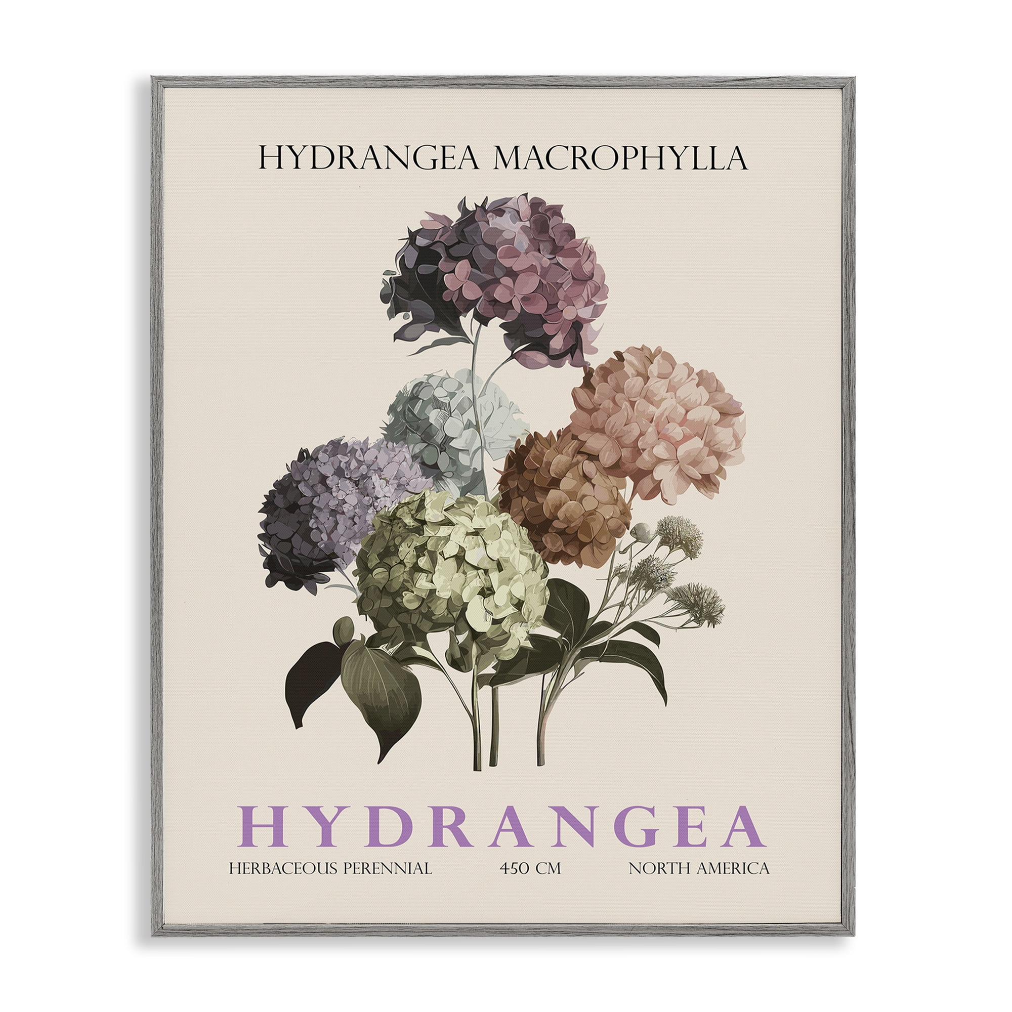 Stupell Industries Nature Hydrangea Bundle Gray Framed Giclee Art, design by Christopher Giampietro