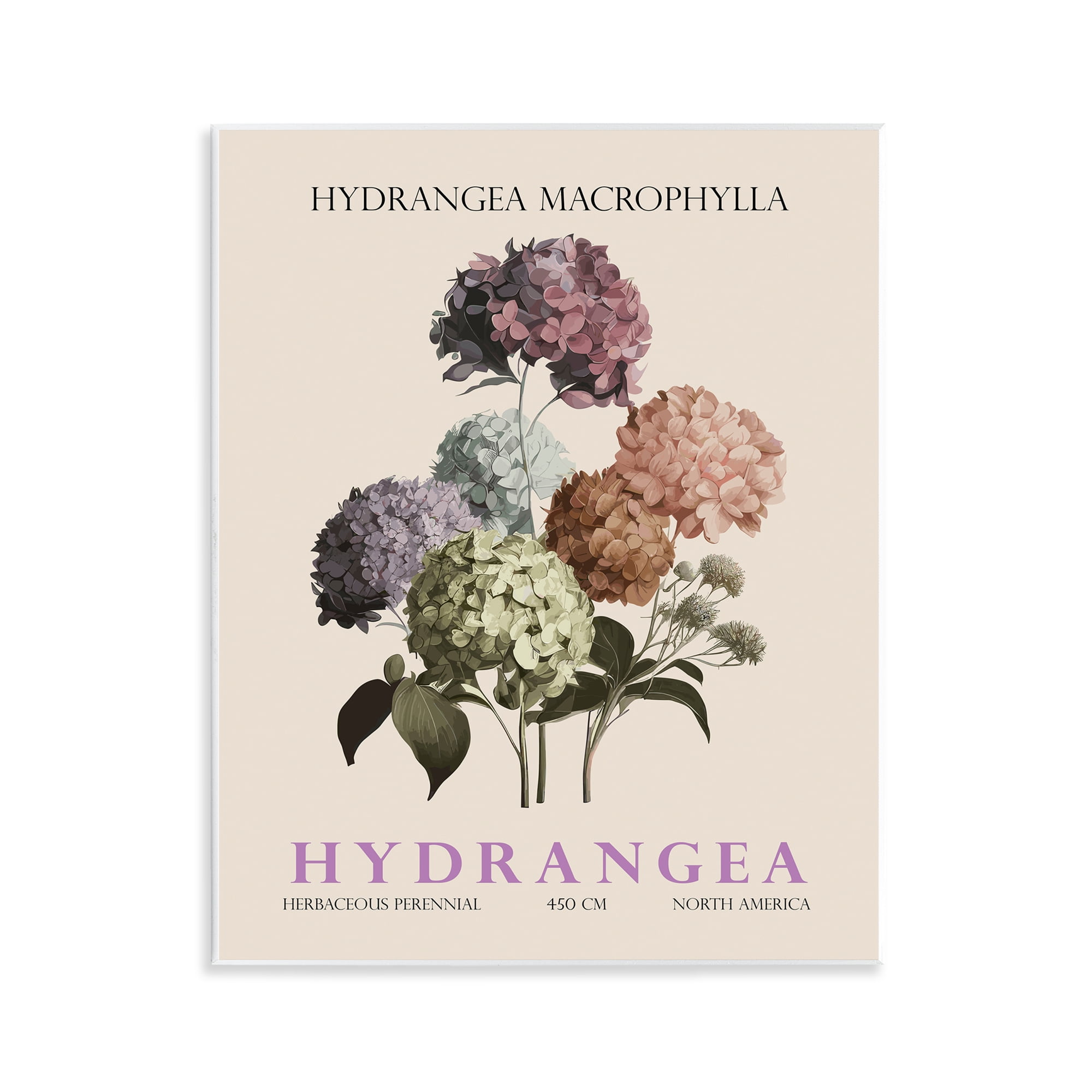 Stupell Industries Nature Hydrangea Bundle Wall Plaque Art, design by Christopher Giampietro