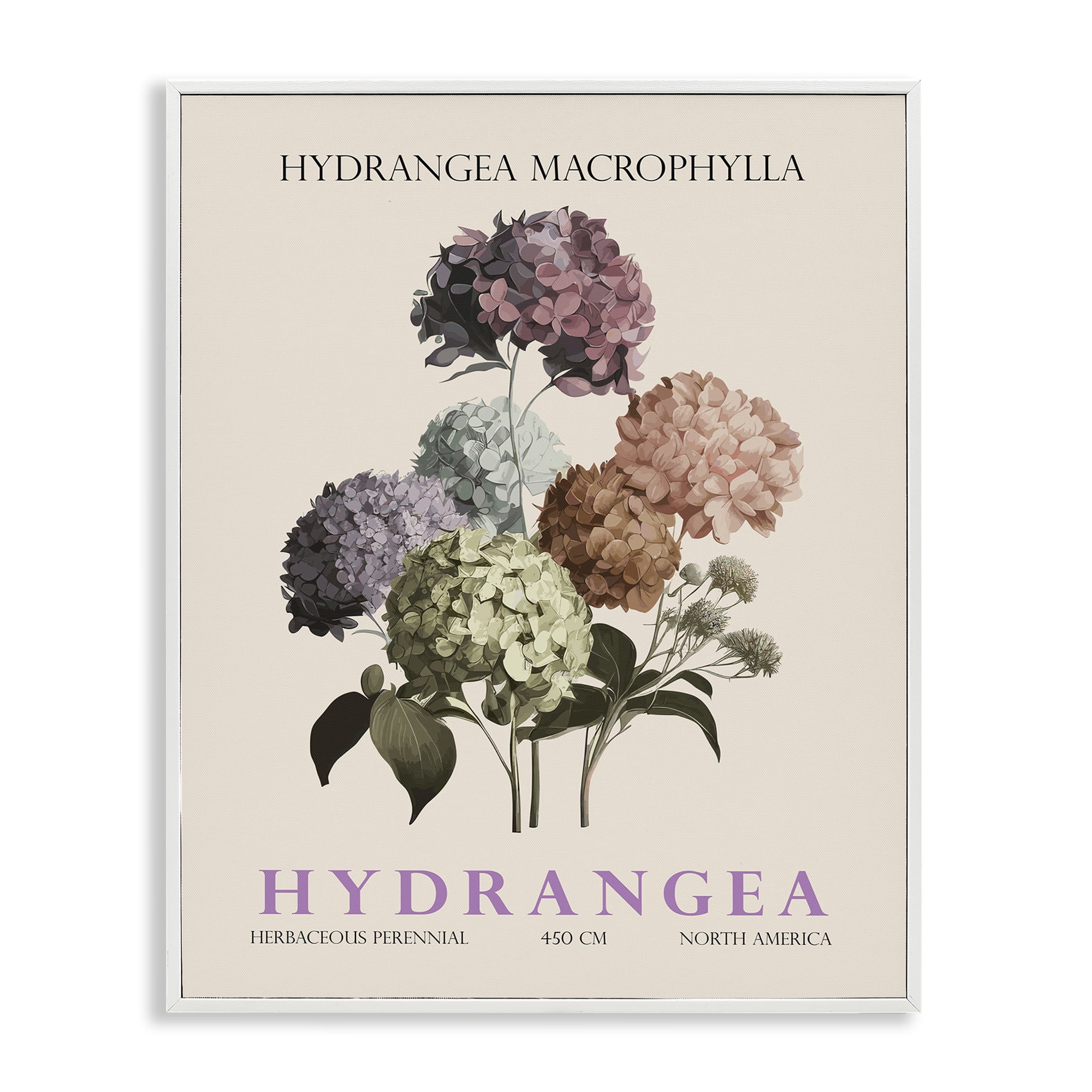 Stupell Industries Nature Hydrangea Bundle White Framed Giclee Art, design by Christopher Giampietro