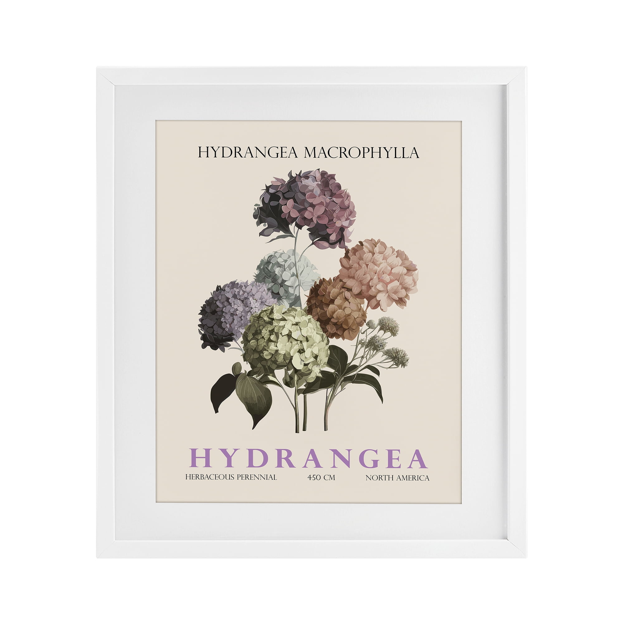 Stupell Industries Nature Hydrangea Bundle White Framed Print Under Glass, design by Christopher Giampietro