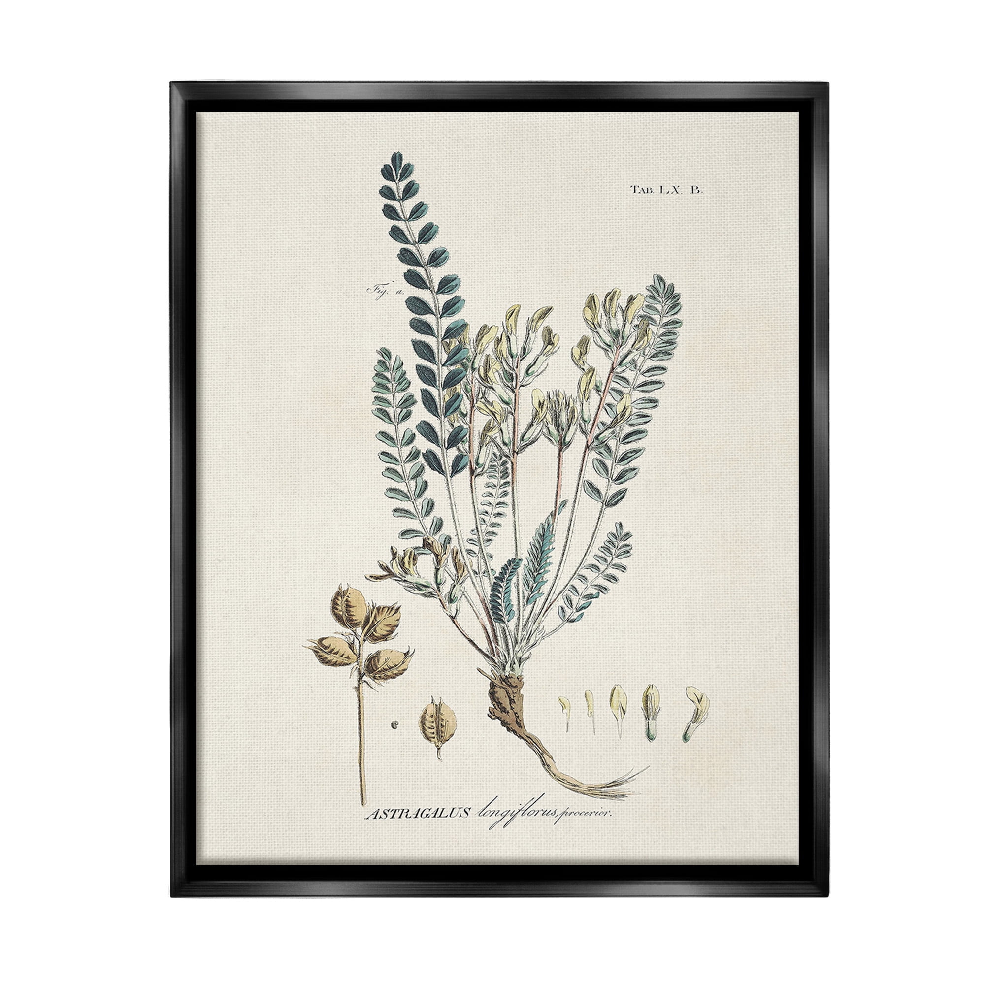 Stupell Industries Nature Leaves & Seeds Botanical & Floral Painting Black Floater Framed Canvas Art Print Wall Art, 17 x 21