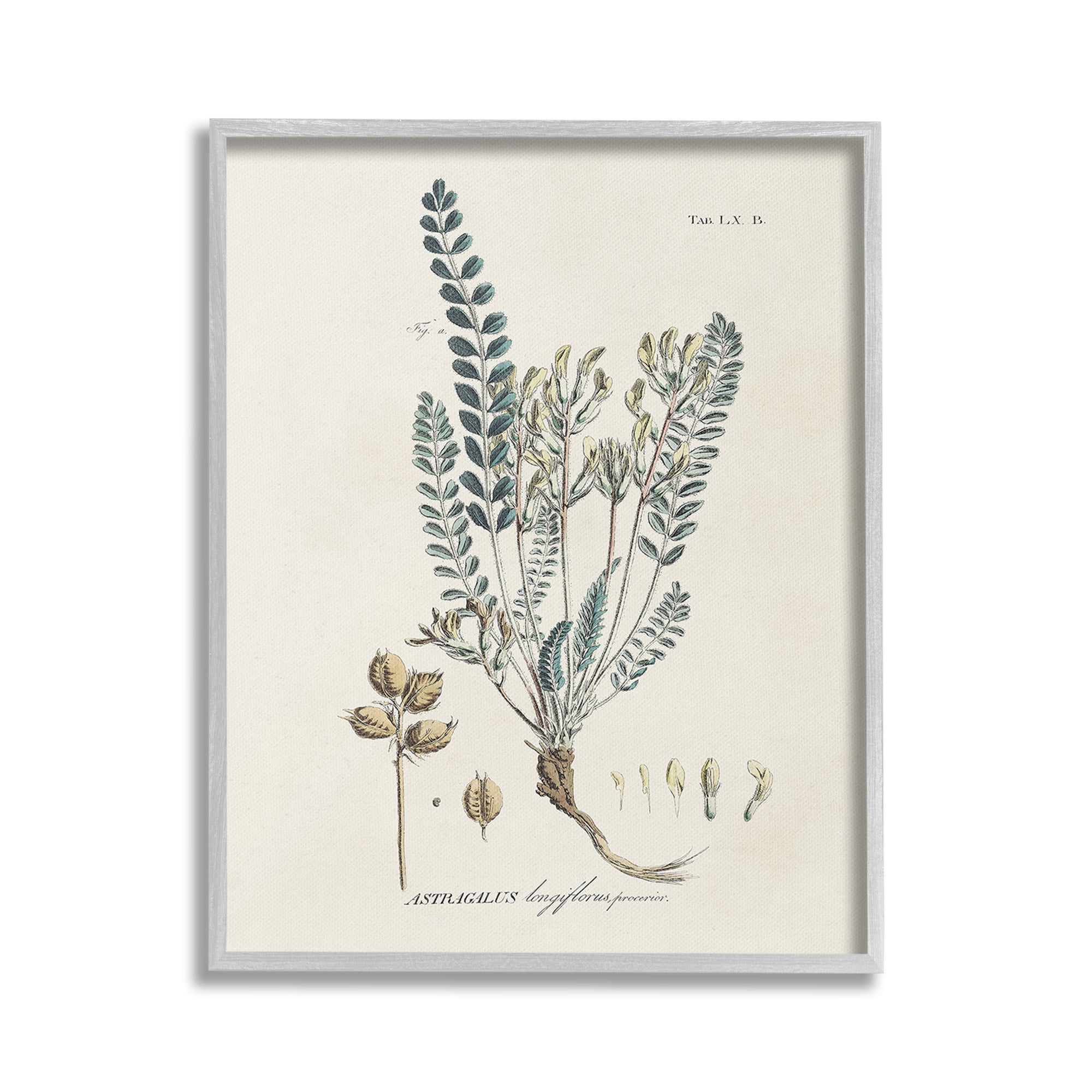 Stupell Industries Nature Leaves & Seeds Botanical & Floral Painting Gray Framed Art Print Wall Art, 24 x 30