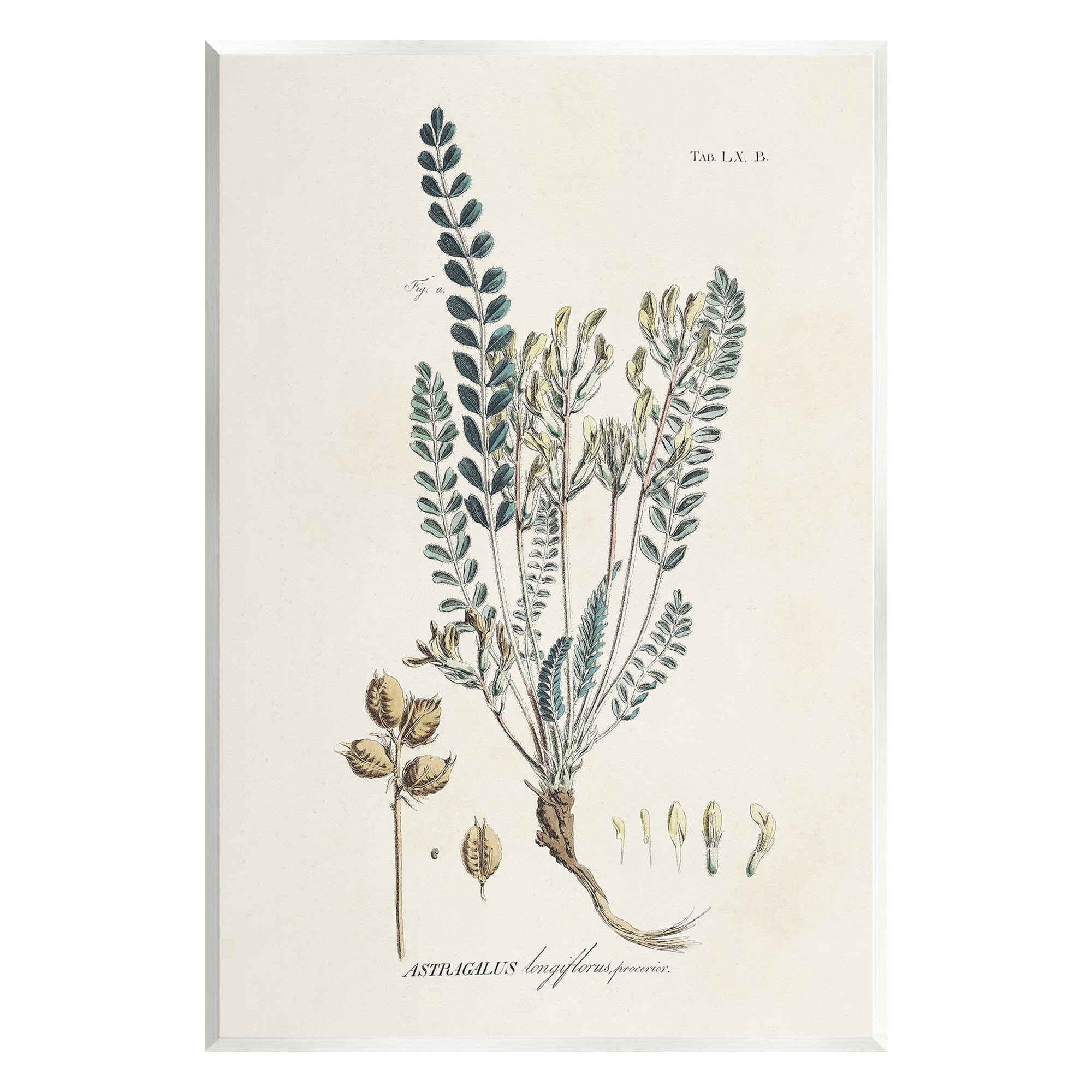 Stupell Industries Nature Leaves & Seeds Botanical & Floral Painting Unframed Art Print Wall Art, 13 x 19
