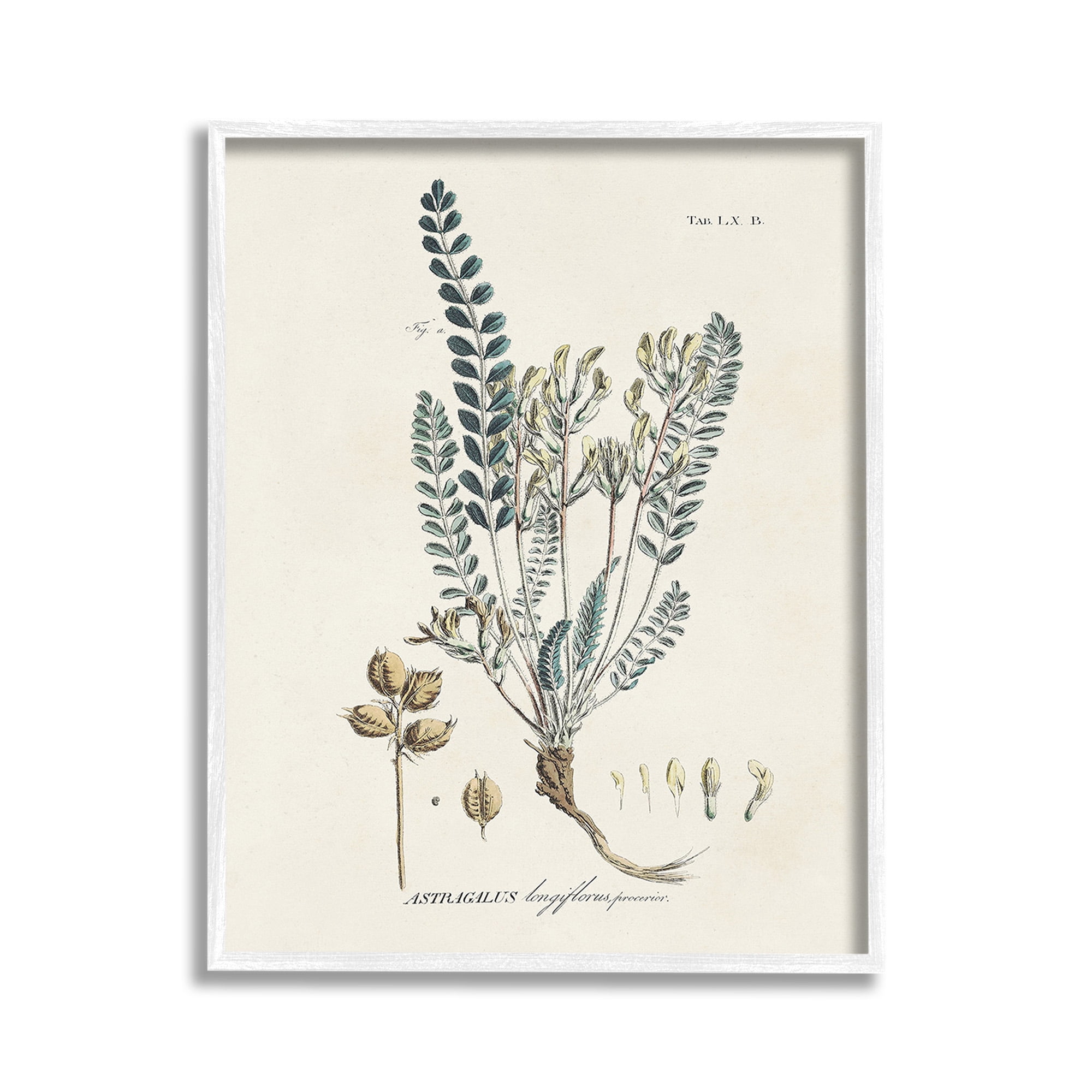 Stupell Industries Nature Leaves & Seeds Botanical & Floral Painting White Framed Art Print Wall Art, 11 x 14