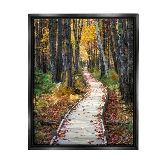 Stupell Industries Nature Path Autumn Foliage Landscape Photography Black Floater Framed Art Print Wall Art