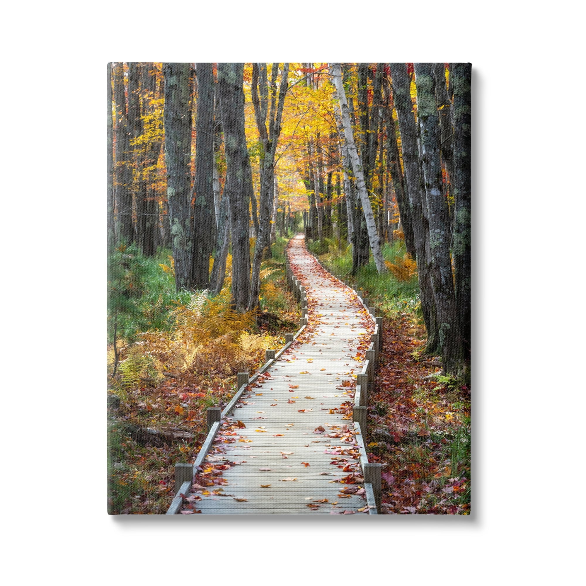 Stupell Industries Nature Path Autumn Foliage Landscape Photography Gallery Wrapped Canvas Print Wall Art