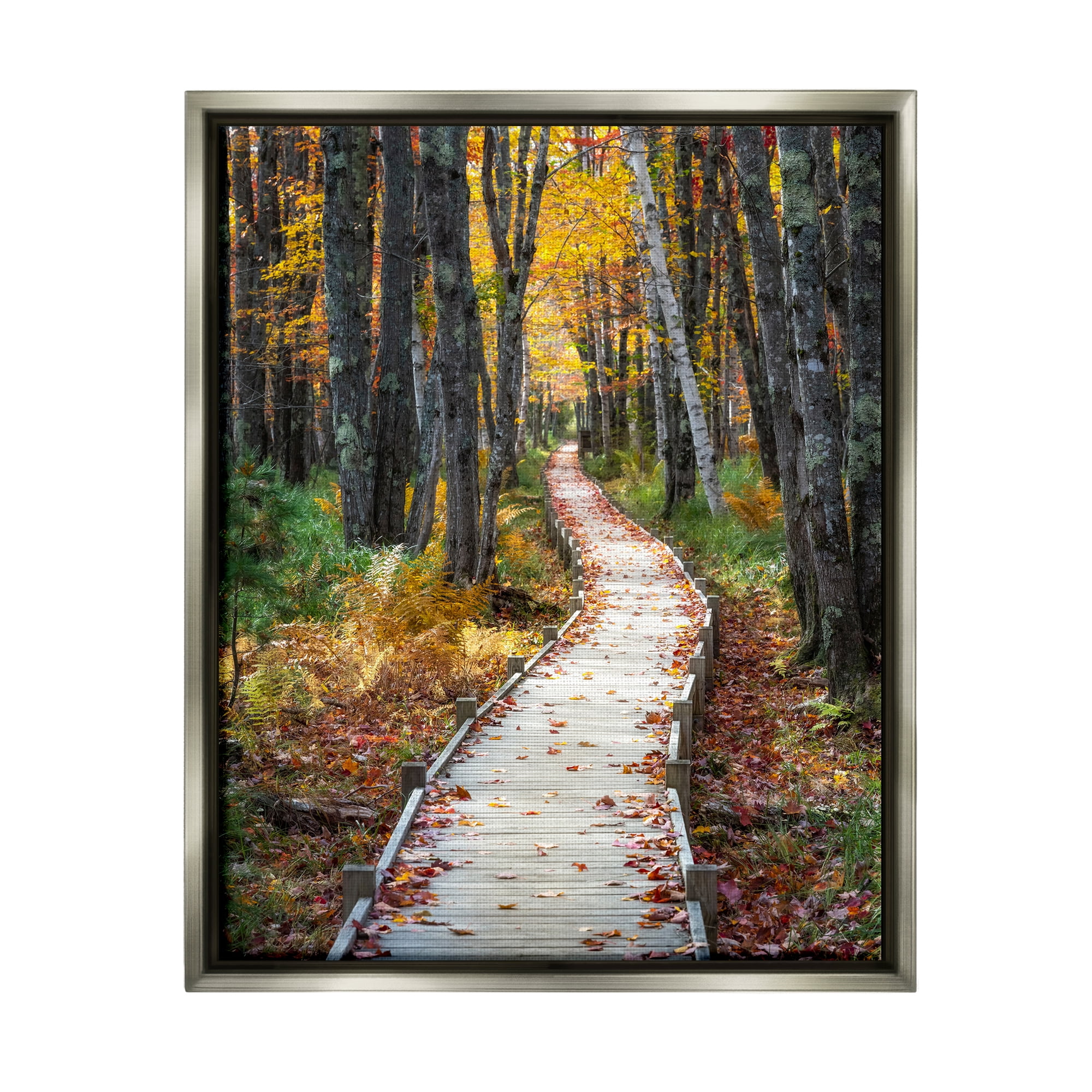 Stupell Industries Nature Path Autumn Foliage Landscape Photography Gray Floater Framed Art Print Wall Art