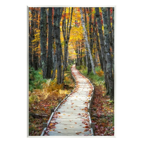 Stupell Industries Nature Path Autumn Foliage Landscape Photography Unframed Art Print Wall Art