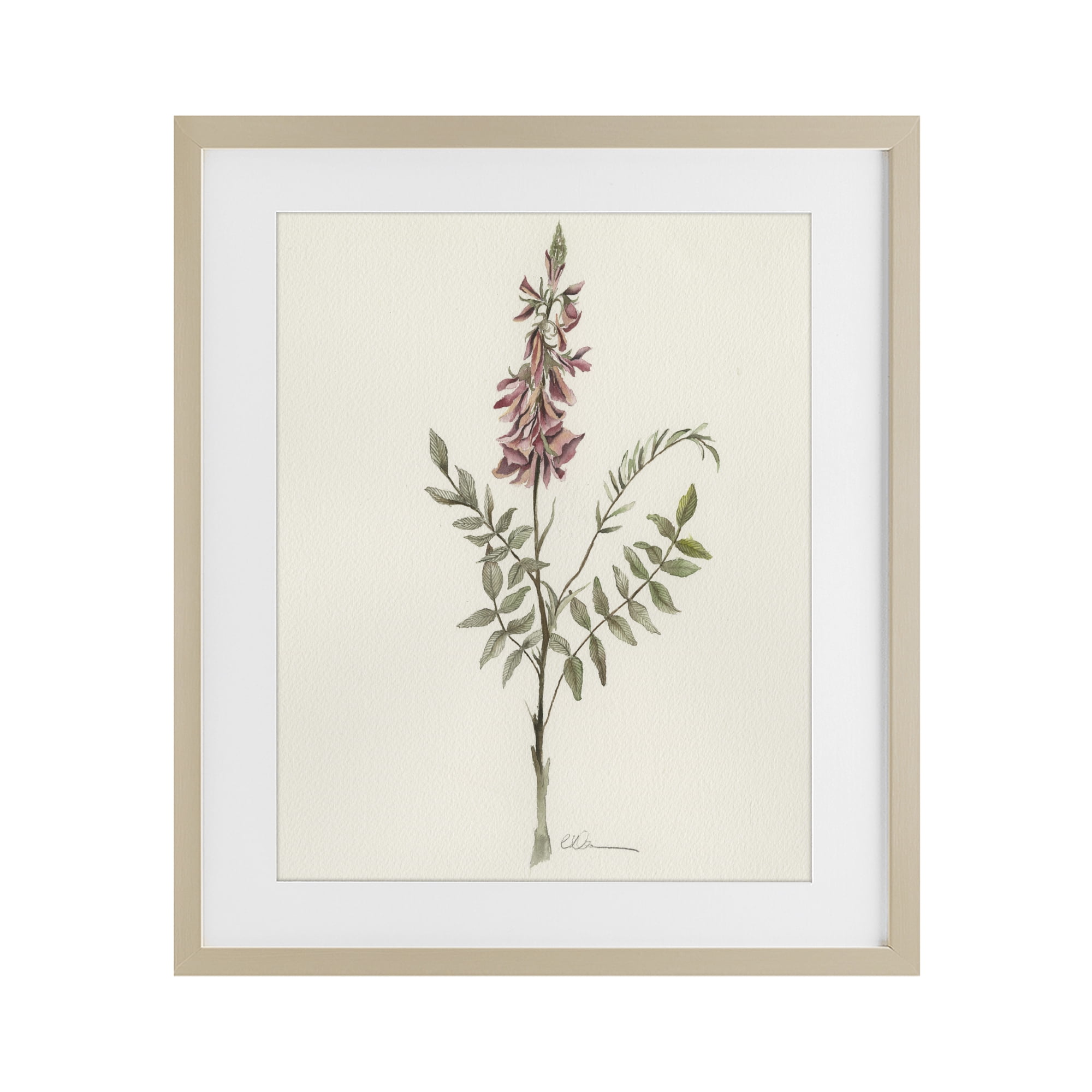 Stupell Industries Nature's Delicate Herb Sprig Birch Framed Print Under Glass, design by Cady Driver