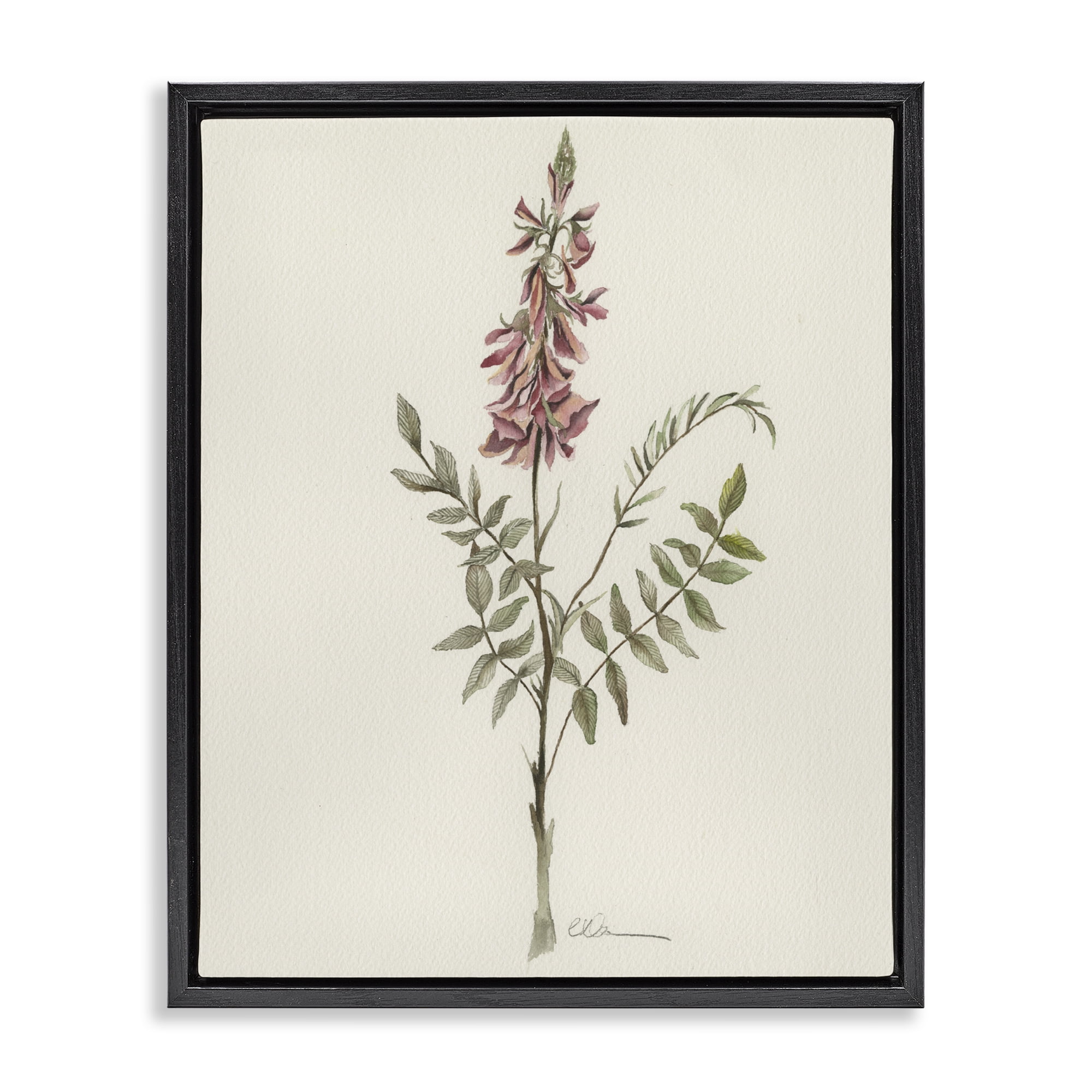 Stupell Industries Nature's Delicate Herb Sprig Black Framed Floater Canvas Wall Art, design by Cady Driver