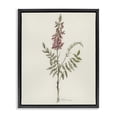 thumbnail image 1 of Stupell Industries Transitional Nature's Delicate Herb Sprig Black Floating Frame Canvas Art, 17 x 21, by Cady Driver, 1 of 8