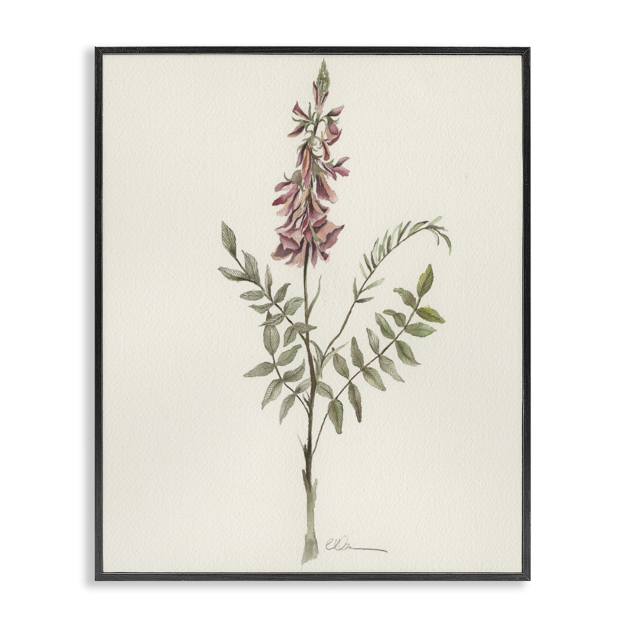 Stupell Industries Nature's Delicate Herb Sprig Black Framed Giclee Art, design by Cady Driver