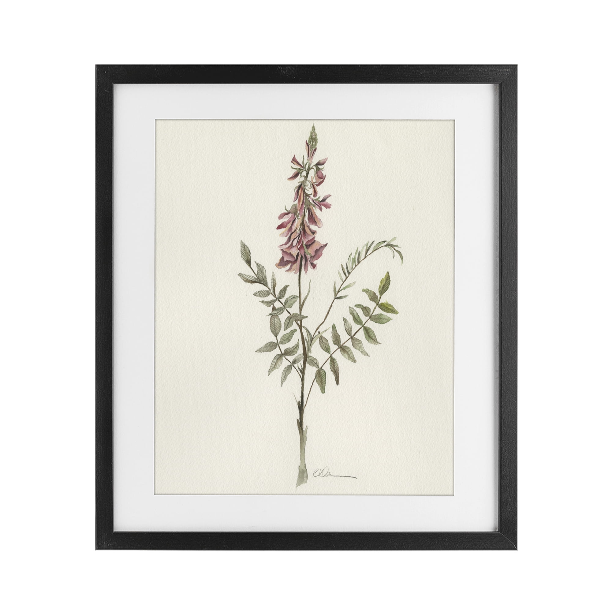 Stupell Industries Nature's Delicate Herb Sprig Black Framed Print Under Glass, design by Cady Driver