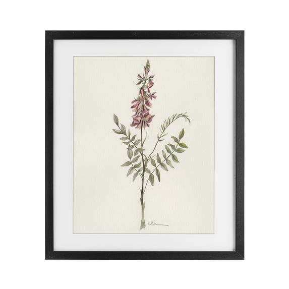 Stupell Industries Transitional Nature's Delicate Herb Sprig Black Framed Print Under Glass, 13 x 16, by Cady Driver