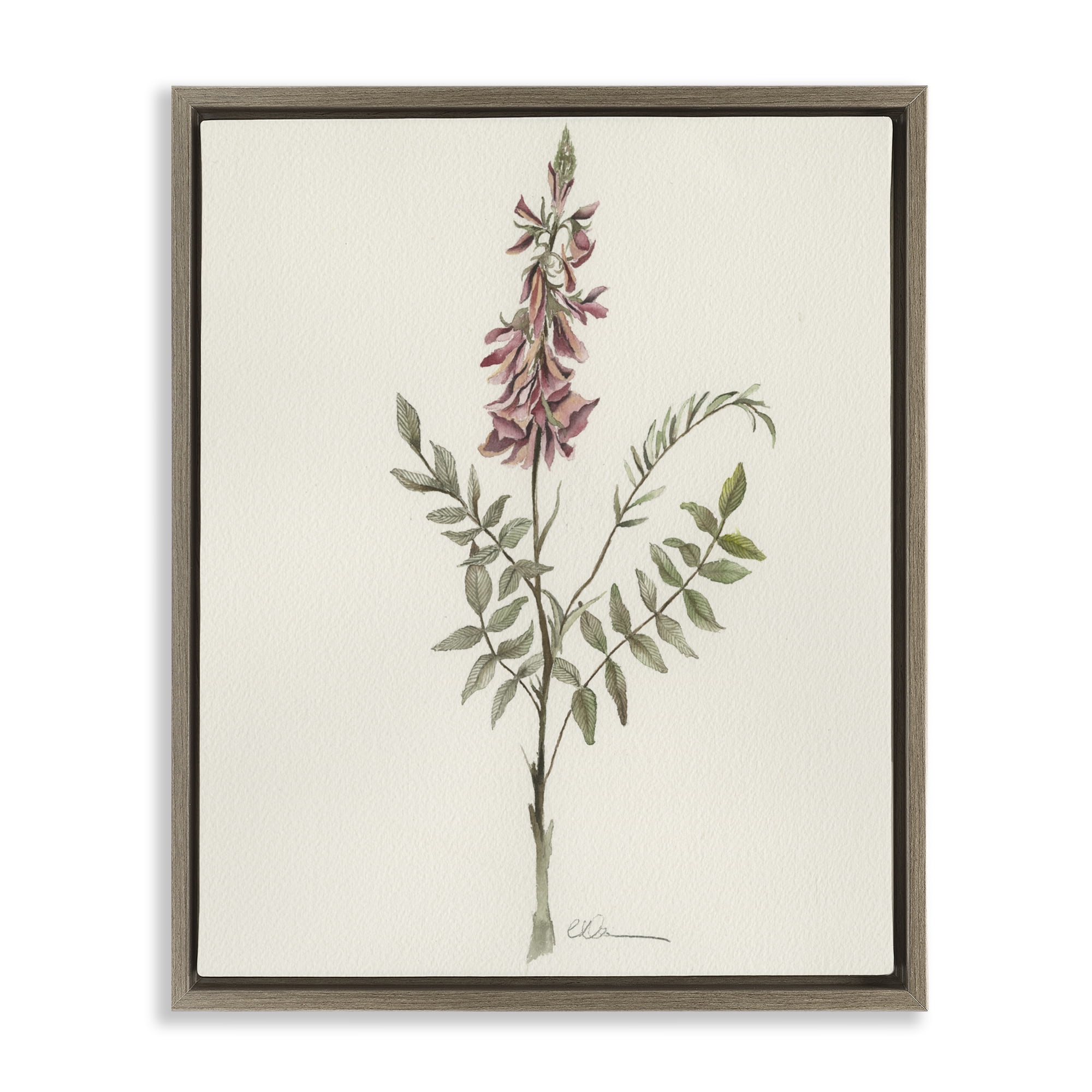 Stupell Industries Nature's Delicate Herb Sprig Brown Framed Floater Canvas Wall Art, design by Cady Driver