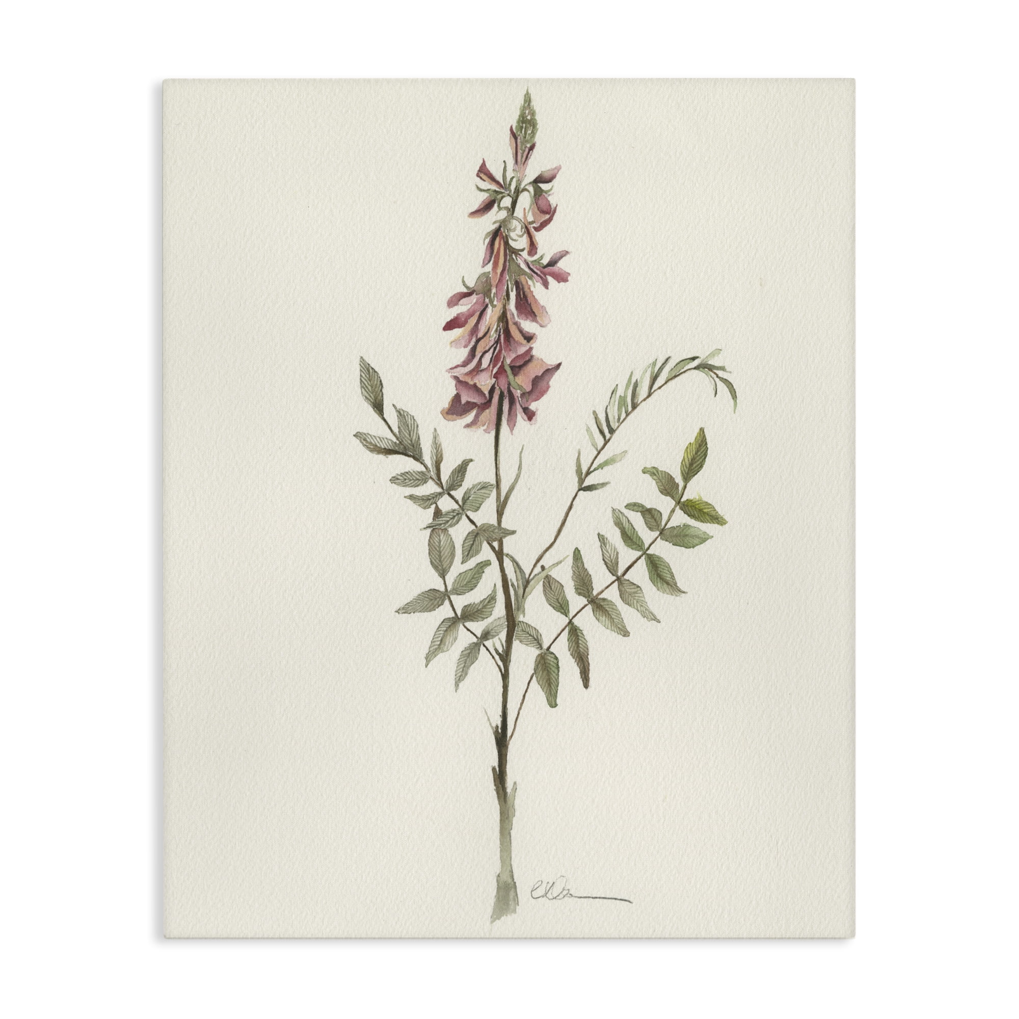 Stupell Industries Nature's Delicate Herb Sprig Canvas Wall Art, design by Cady Driver