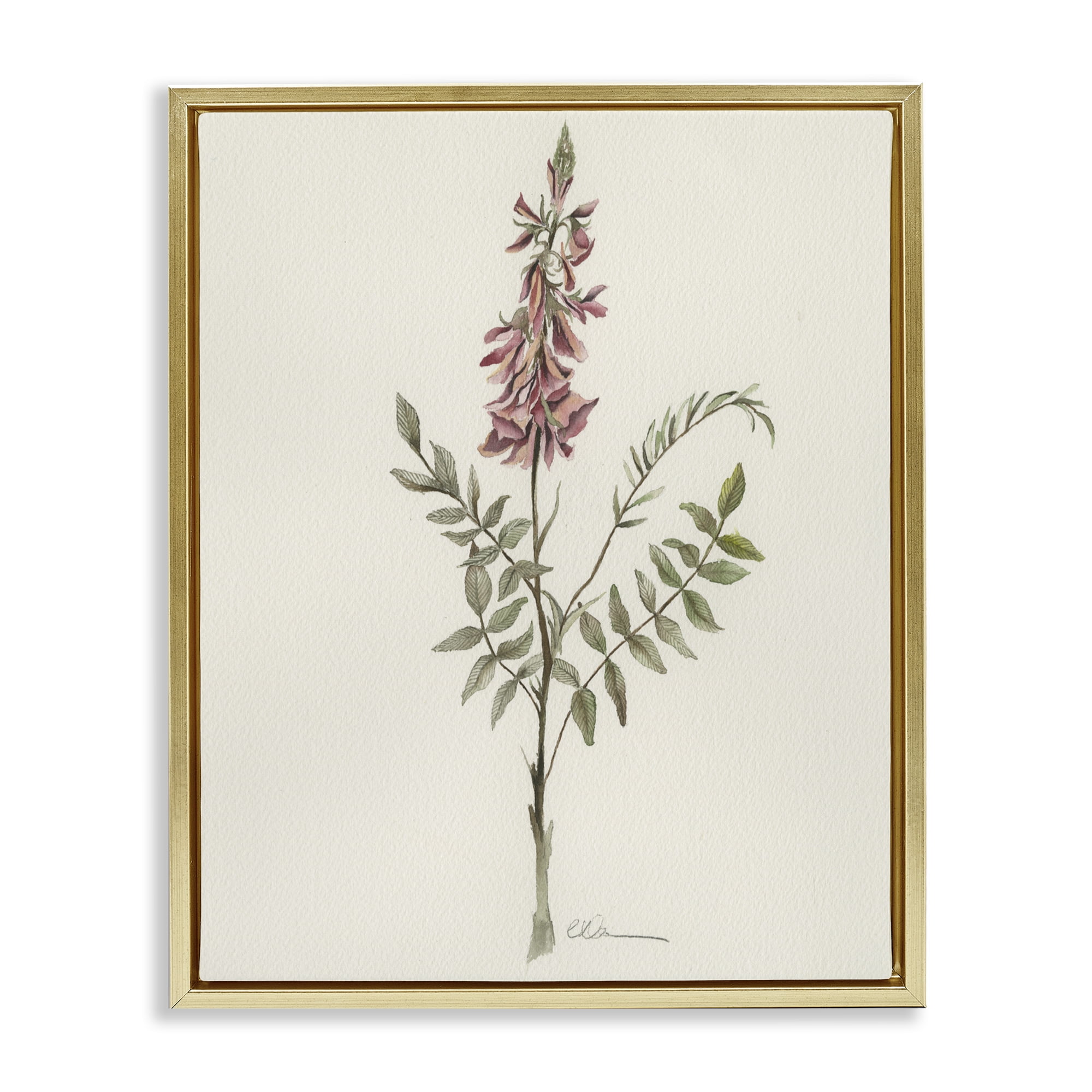 Stupell Industries Nature's Delicate Herb Sprig Gold Framed Floater Canvas Wall Art, design by Cady Driver