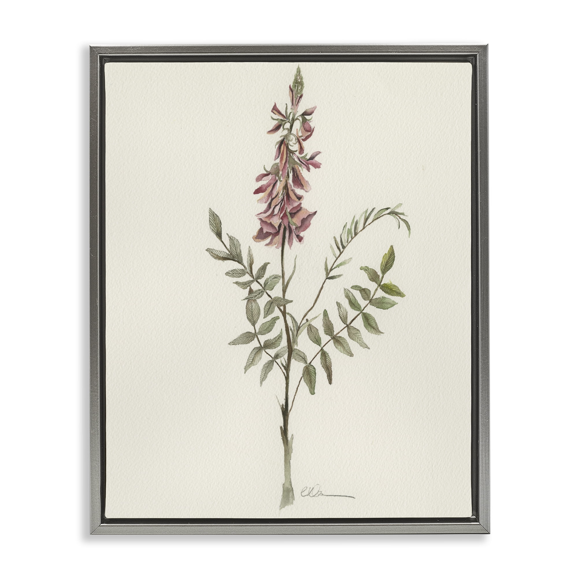 Stupell Industries Nature's Delicate Herb Sprig Gray Framed Floater Canvas Wall Art, design by Cady Driver