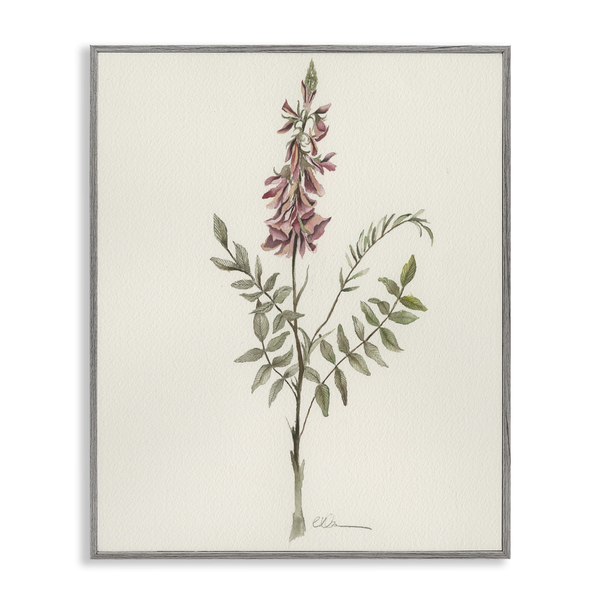 Stupell Industries Nature's Delicate Herb Sprig Gray Framed Giclee Art, design by Cady Driver