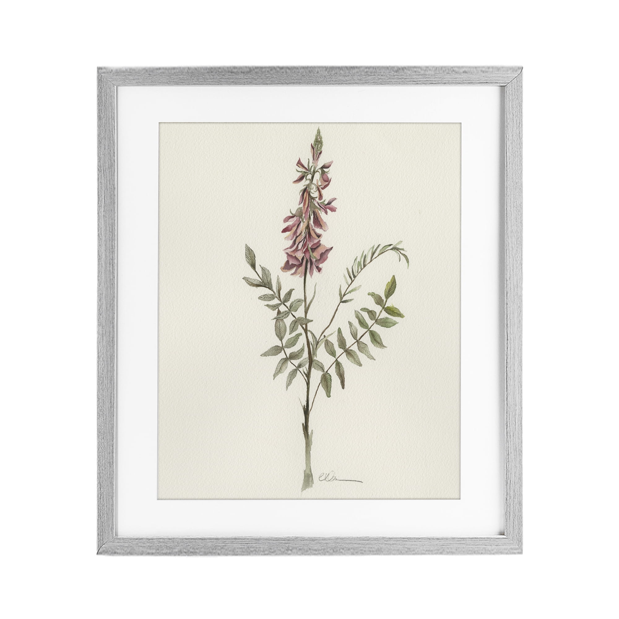 Stupell Industries Nature's Delicate Herb Sprig Gray Framed Print Under Glass, design by Cady Driver