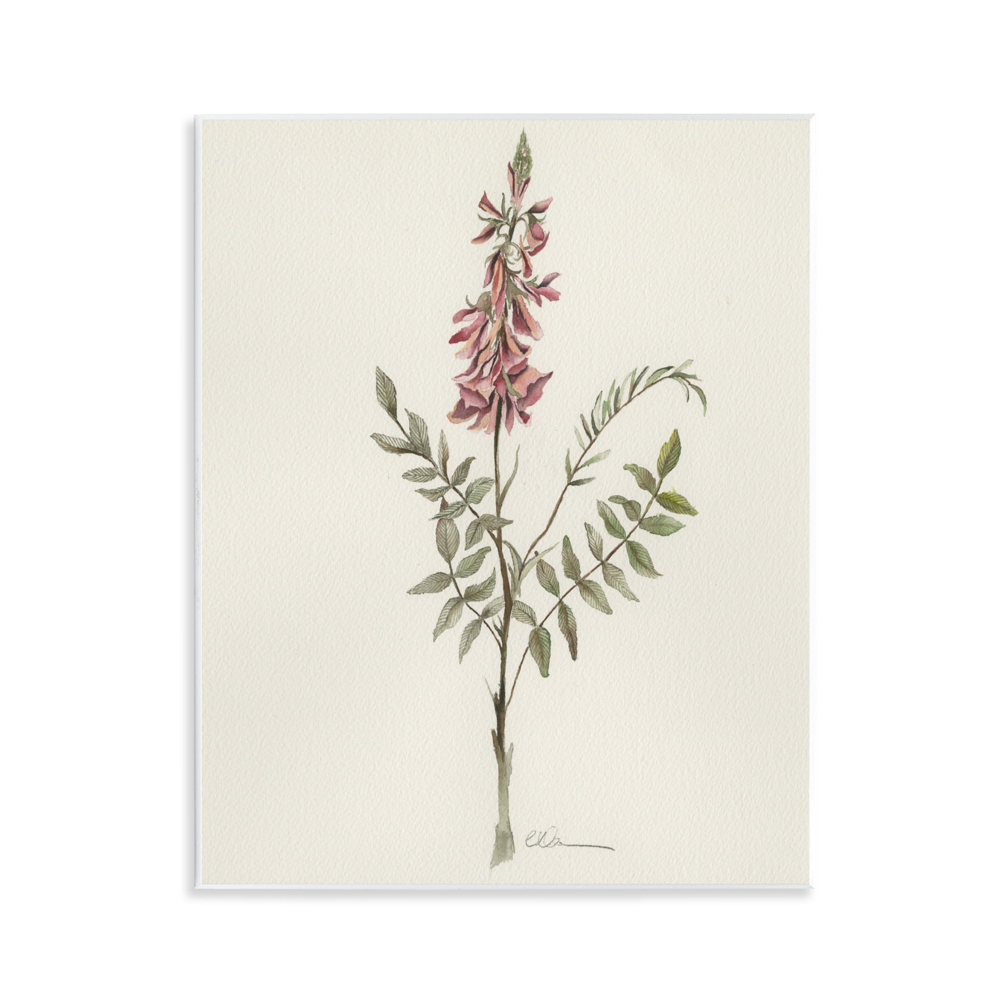 Stupell Industries Nature's Delicate Herb Sprig Wall Plaque Art, design by Cady Driver