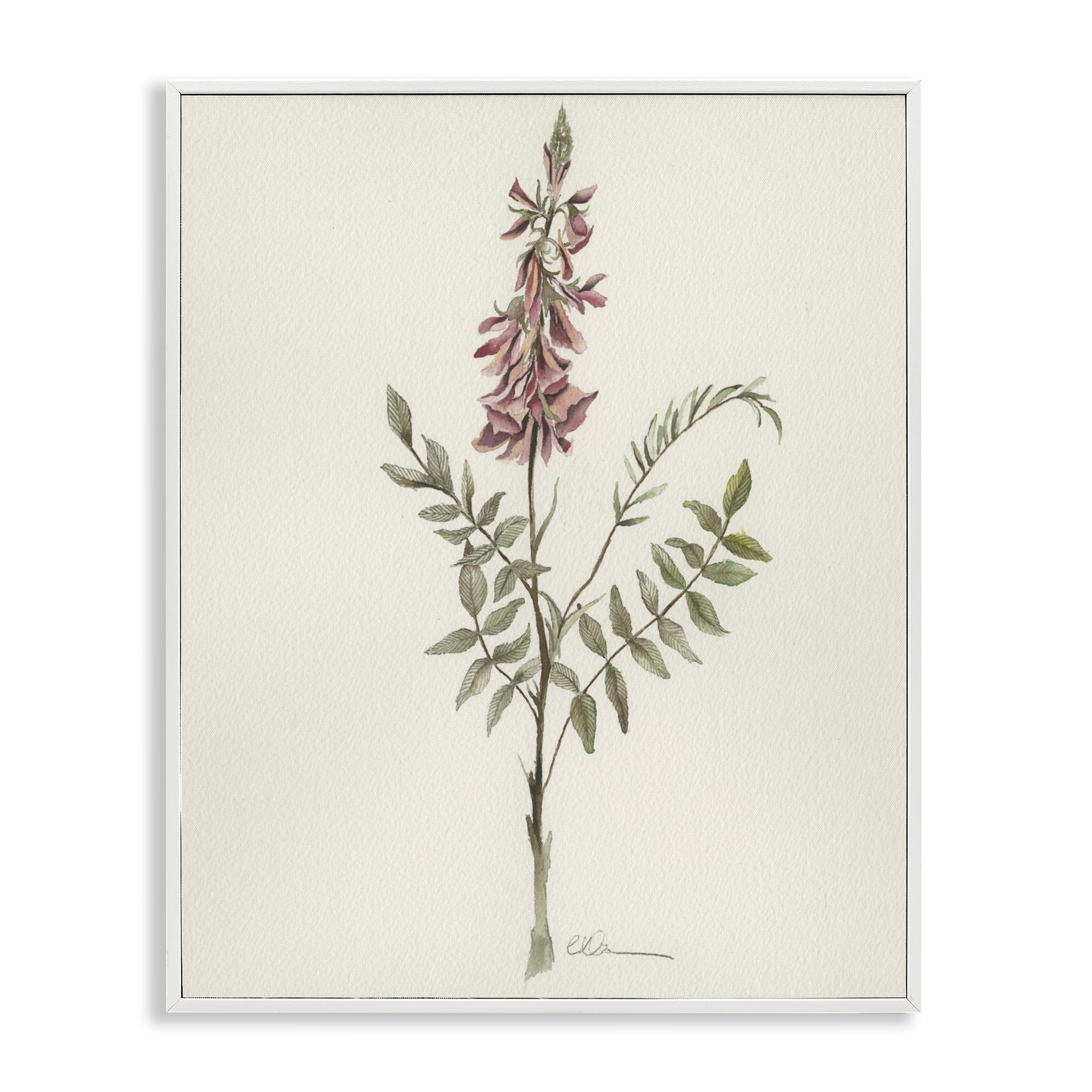 Stupell Industries Nature's Delicate Herb Sprig White Framed Giclee Art, design by Cady Driver