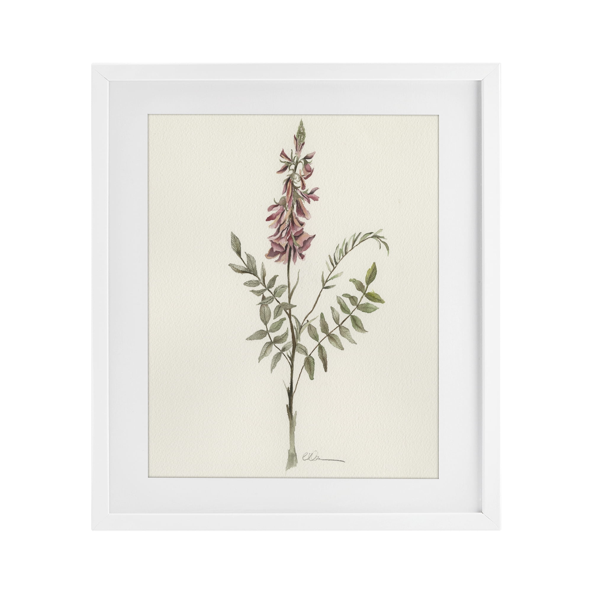 Stupell Industries Nature's Delicate Herb Sprig White Framed Print Under Glass, design by Cady Driver
